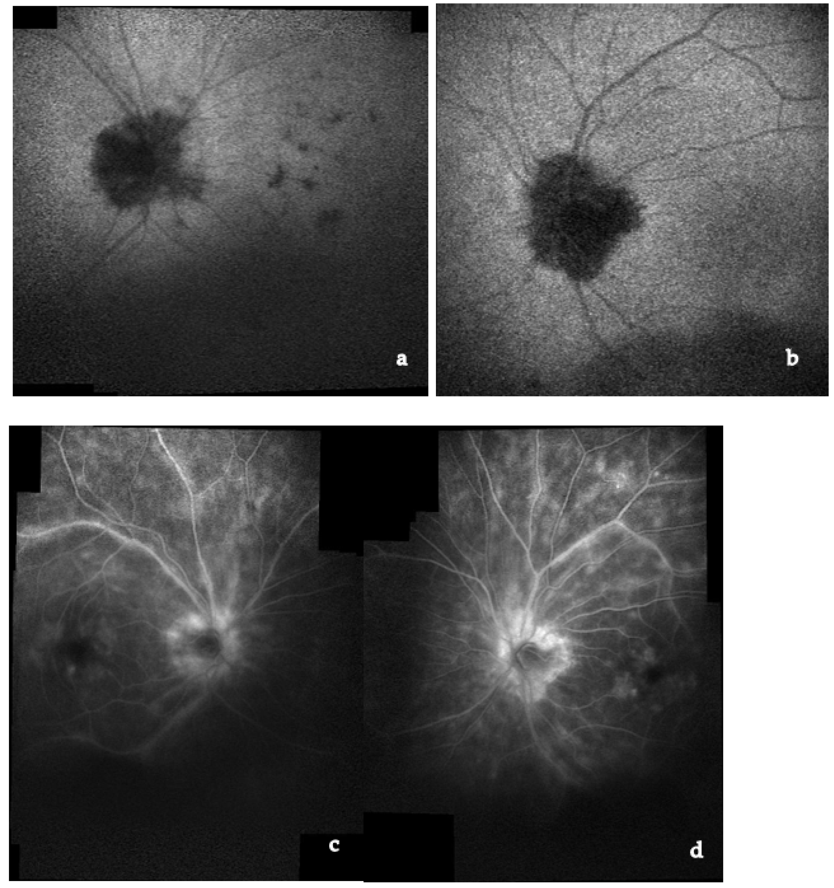 Medicina 58 00898 g017 Medicina 58 00898 g017