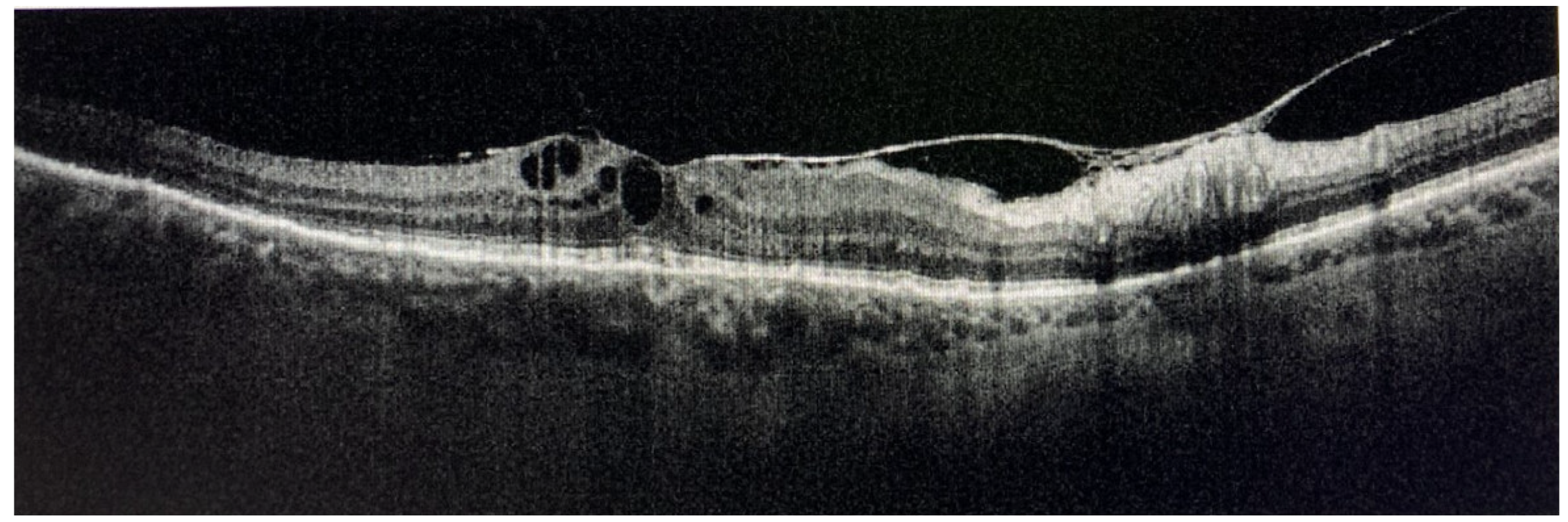 Medicina 58 00898 g019 Medicina 58 00898 g019