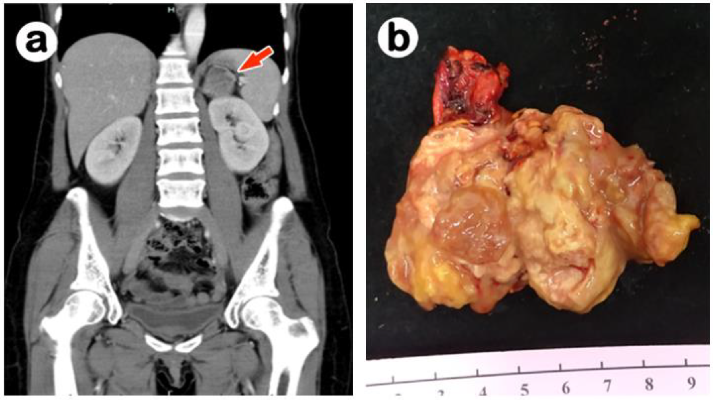 Medicina 58 00900 g001 550