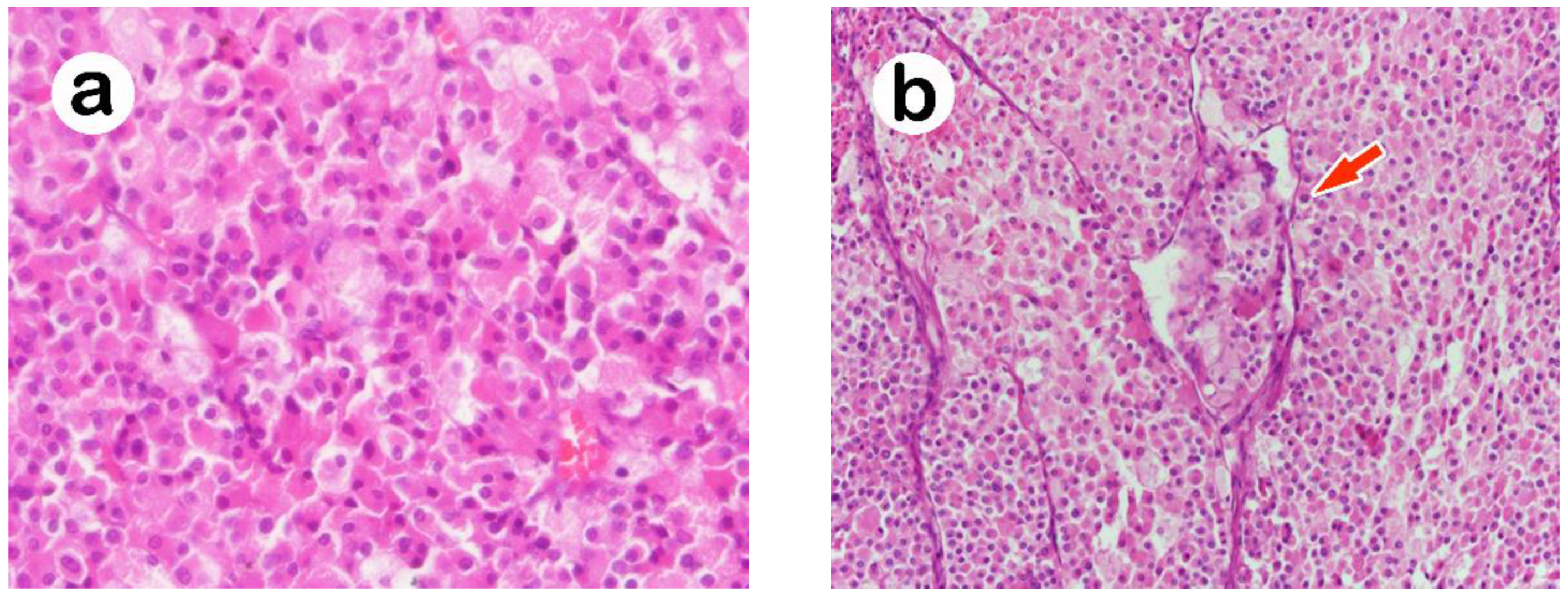 Medicina 58 00900 g002a 550