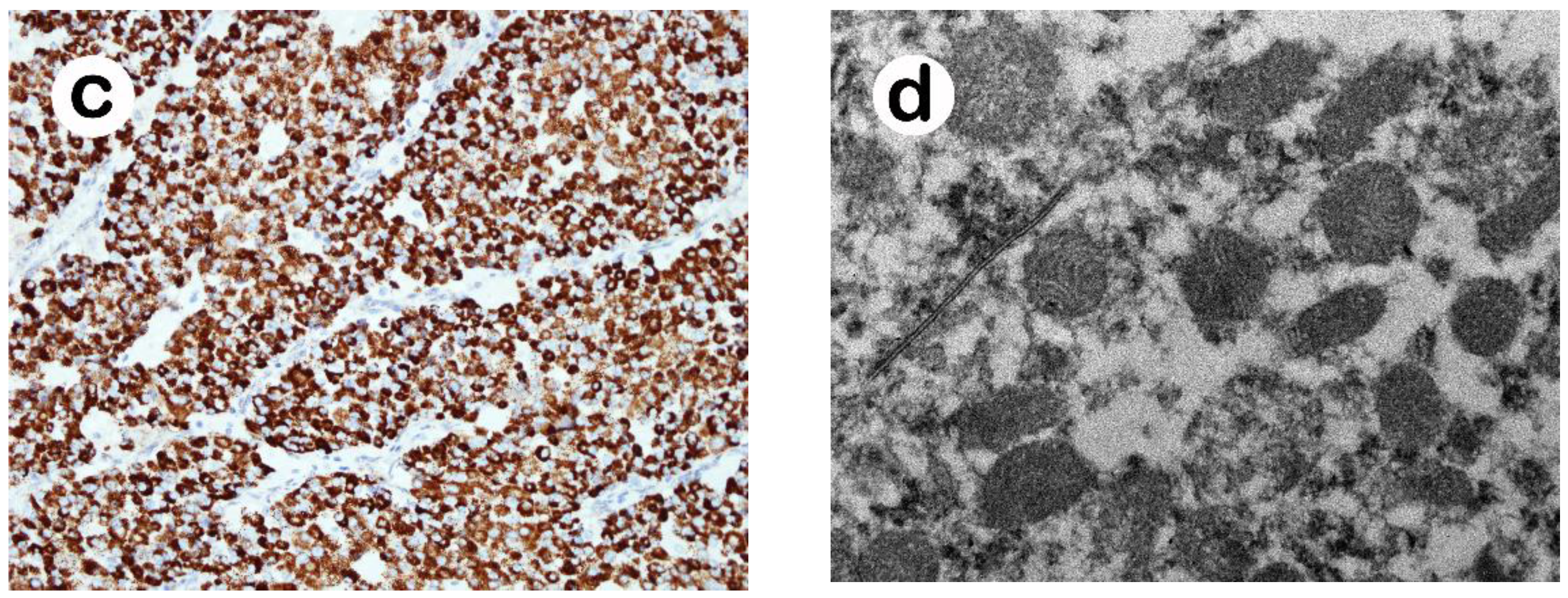 Medicina 58 00900 g002b 550