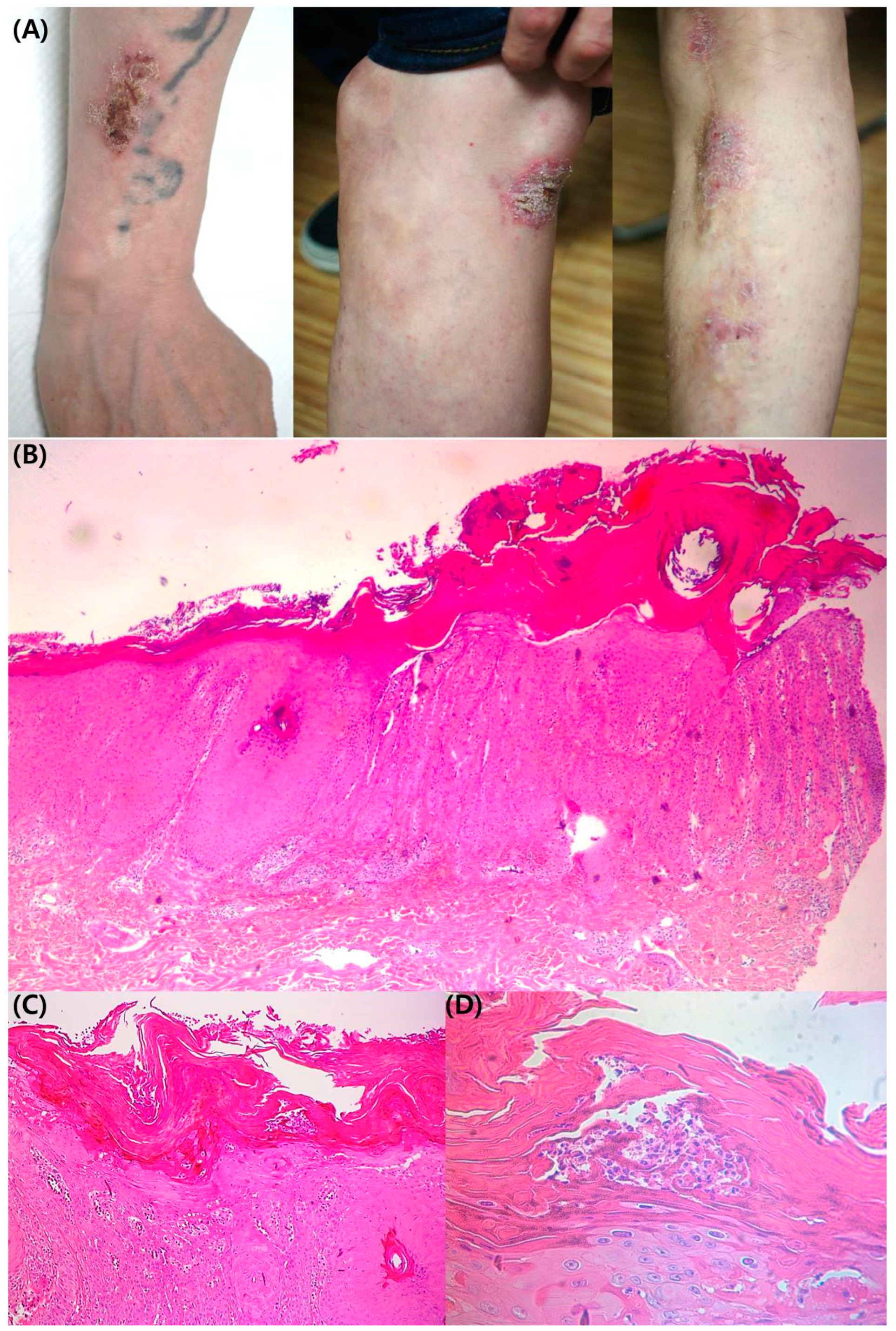 Medicina 58 00902 g001