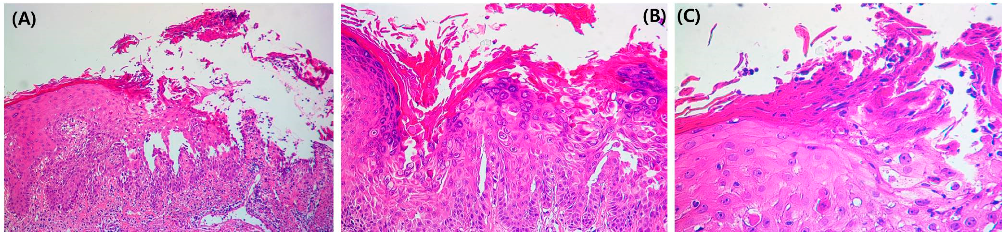 Medicina 58 00902 g003