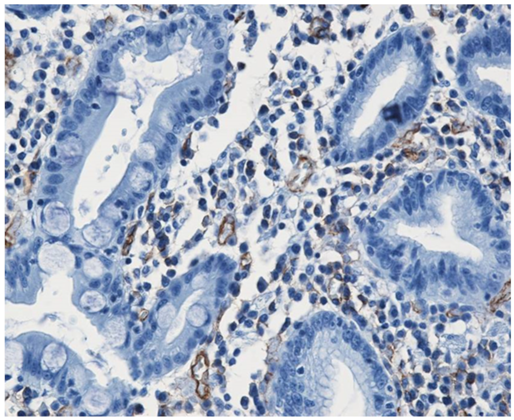 Medicina 58 00903 g001 Medicina 58 00903 g001