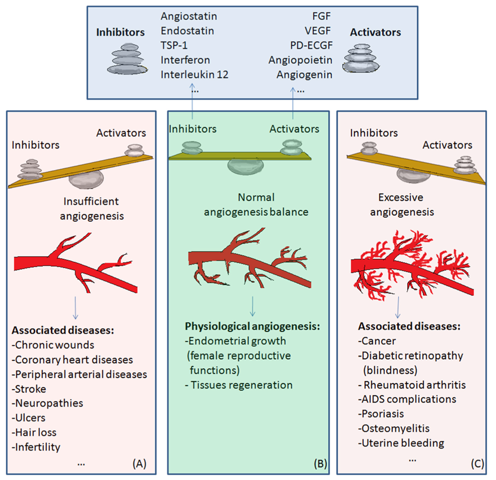 Medicina 58 00903 g002 Medicina 58 00903 g002