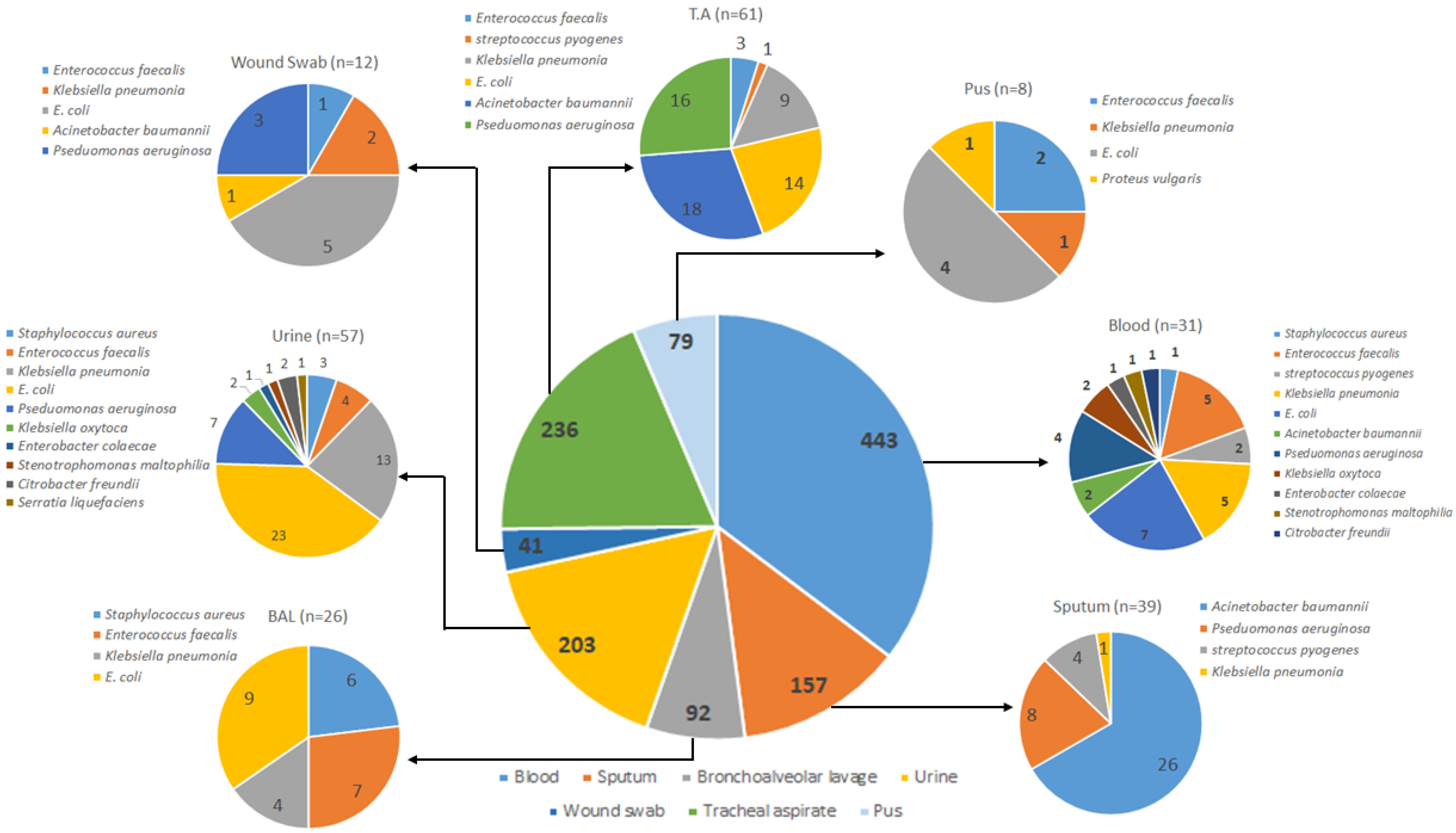 Medicina 58 00904 g001 550