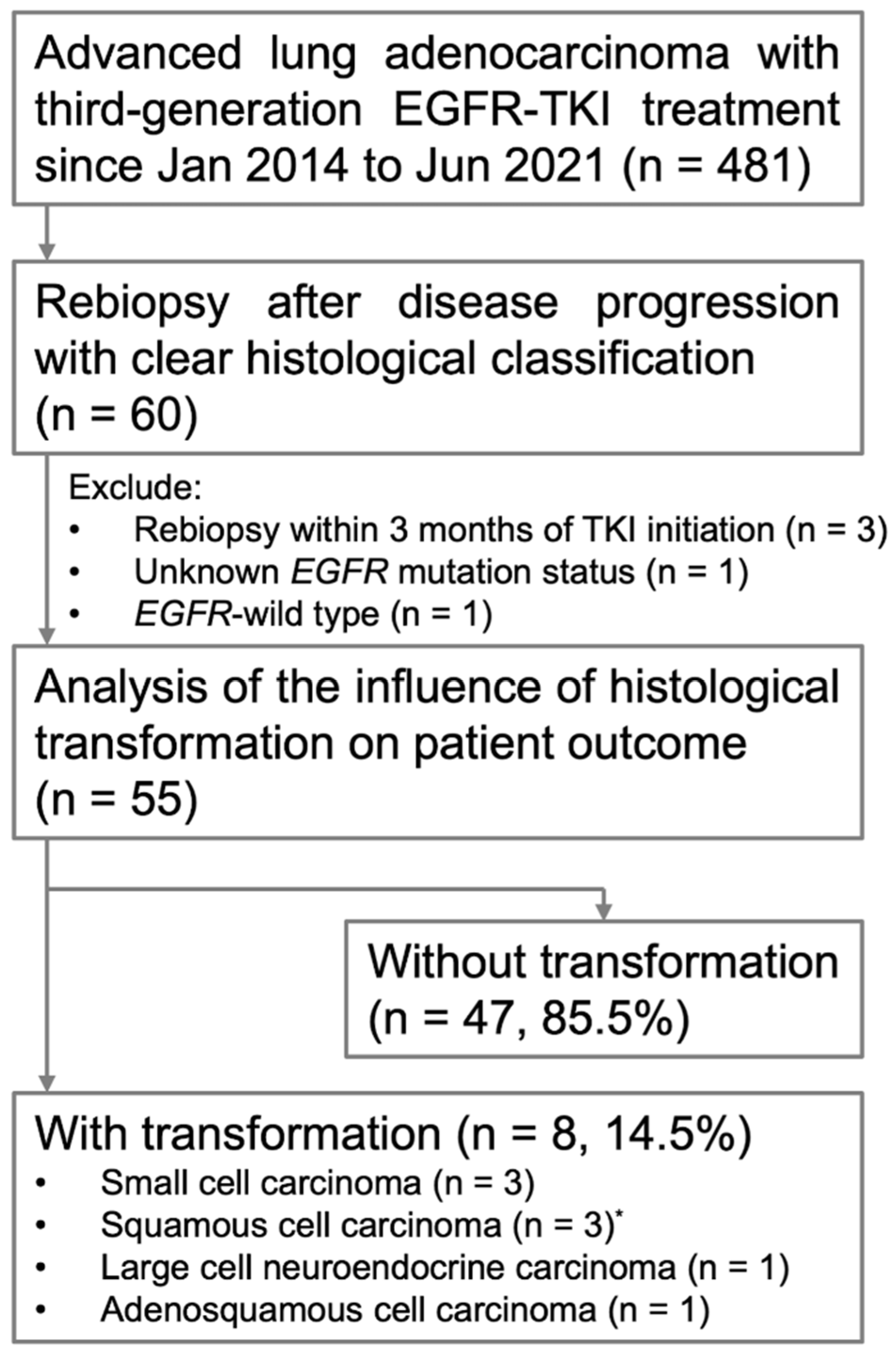 Medicina 58 00908 g001 550