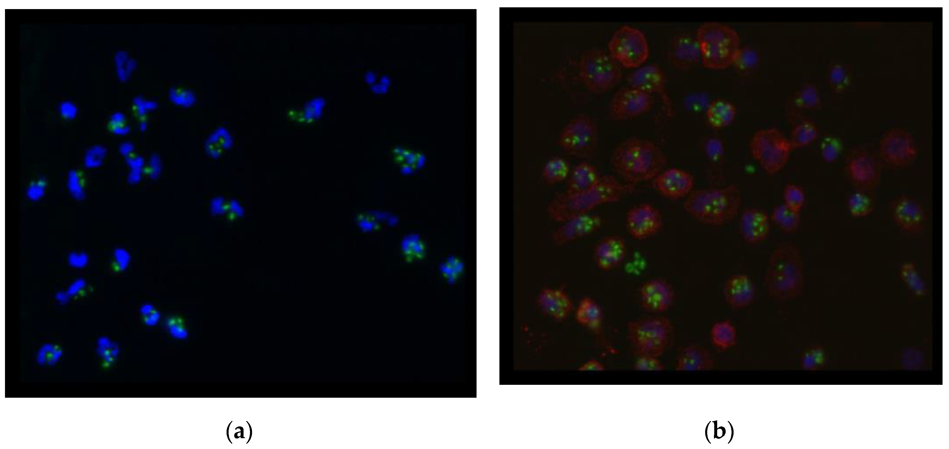 Medicina 58 00925 g001