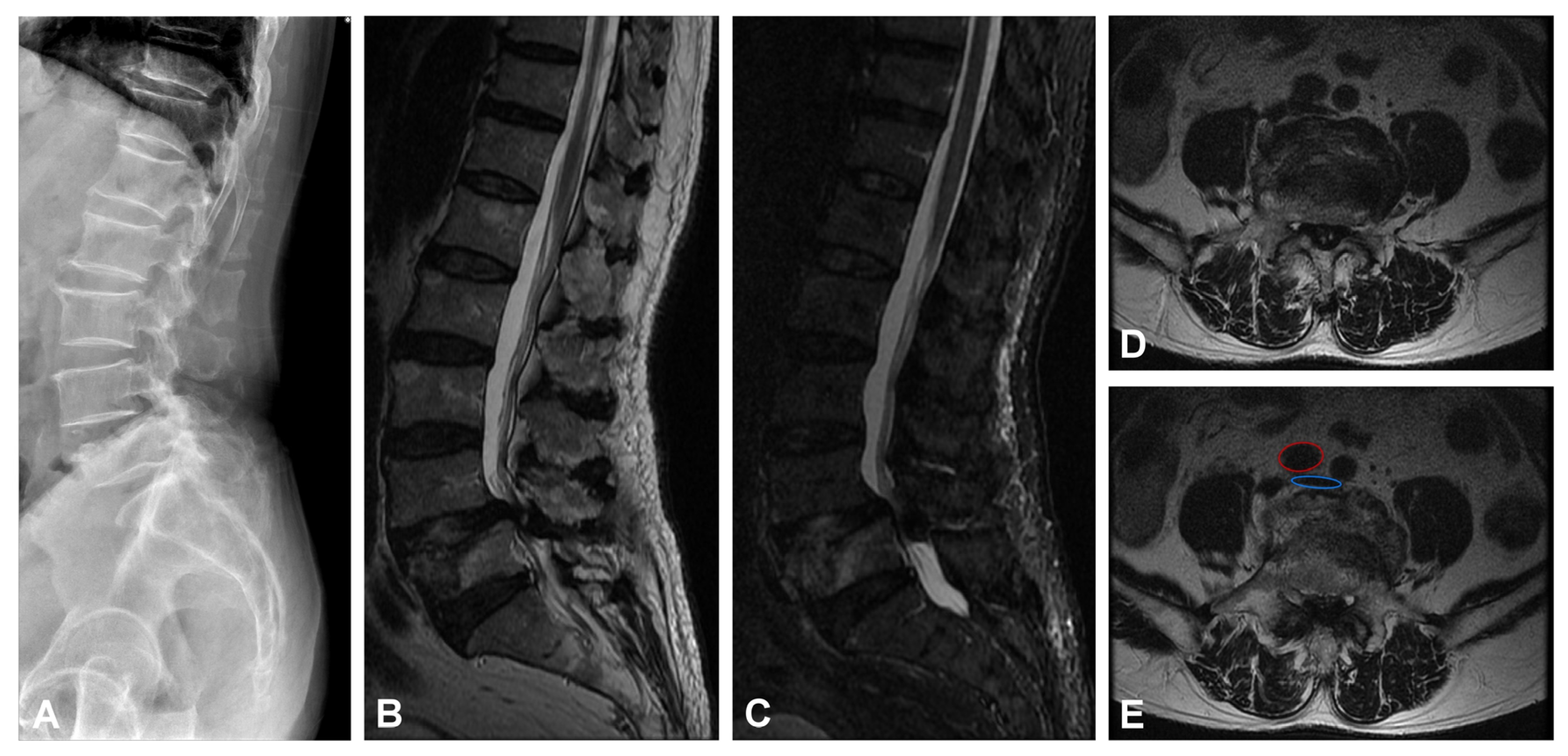 Medicina 58 00927 g001 550