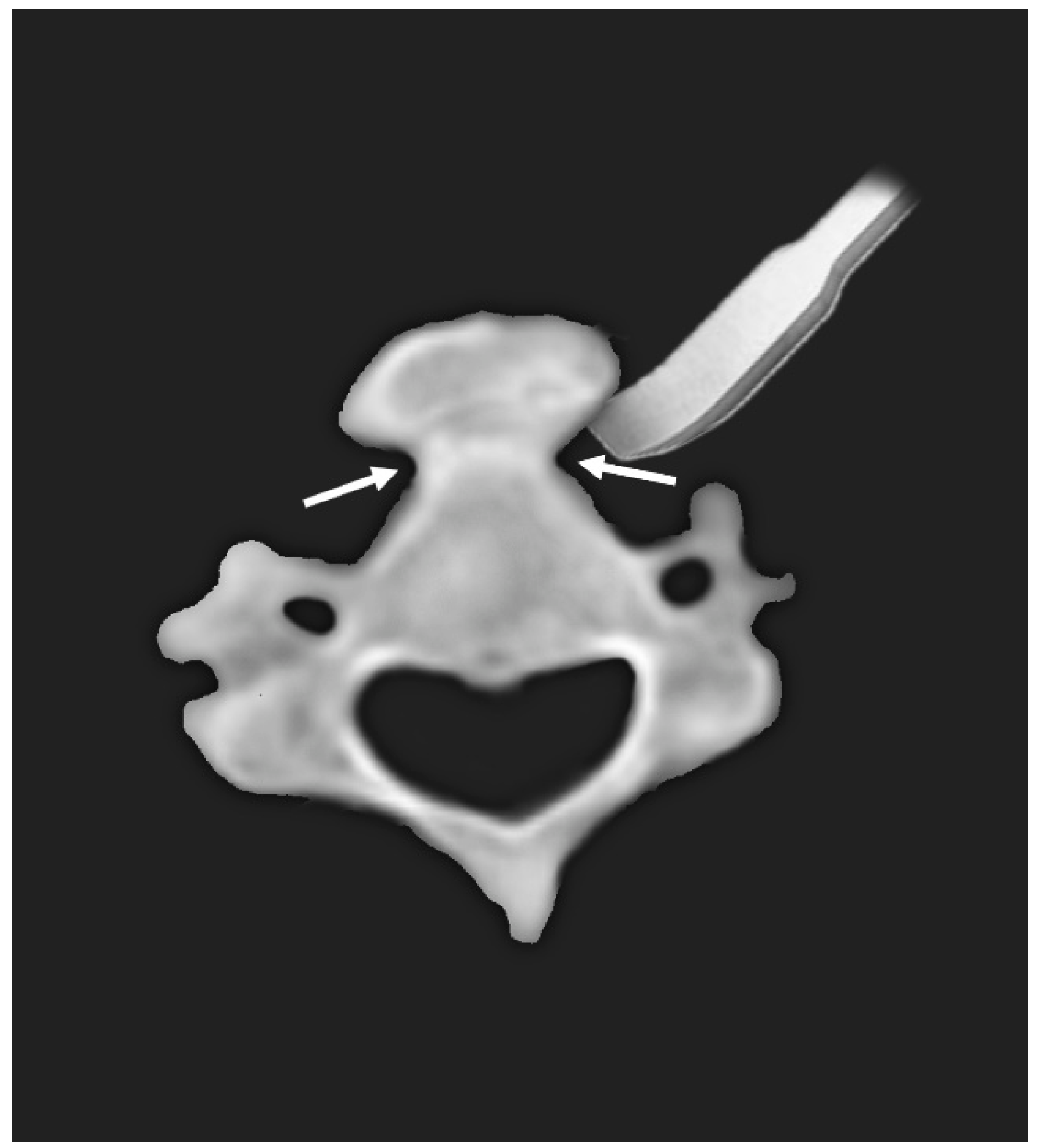 Medicina 58 00928 g003