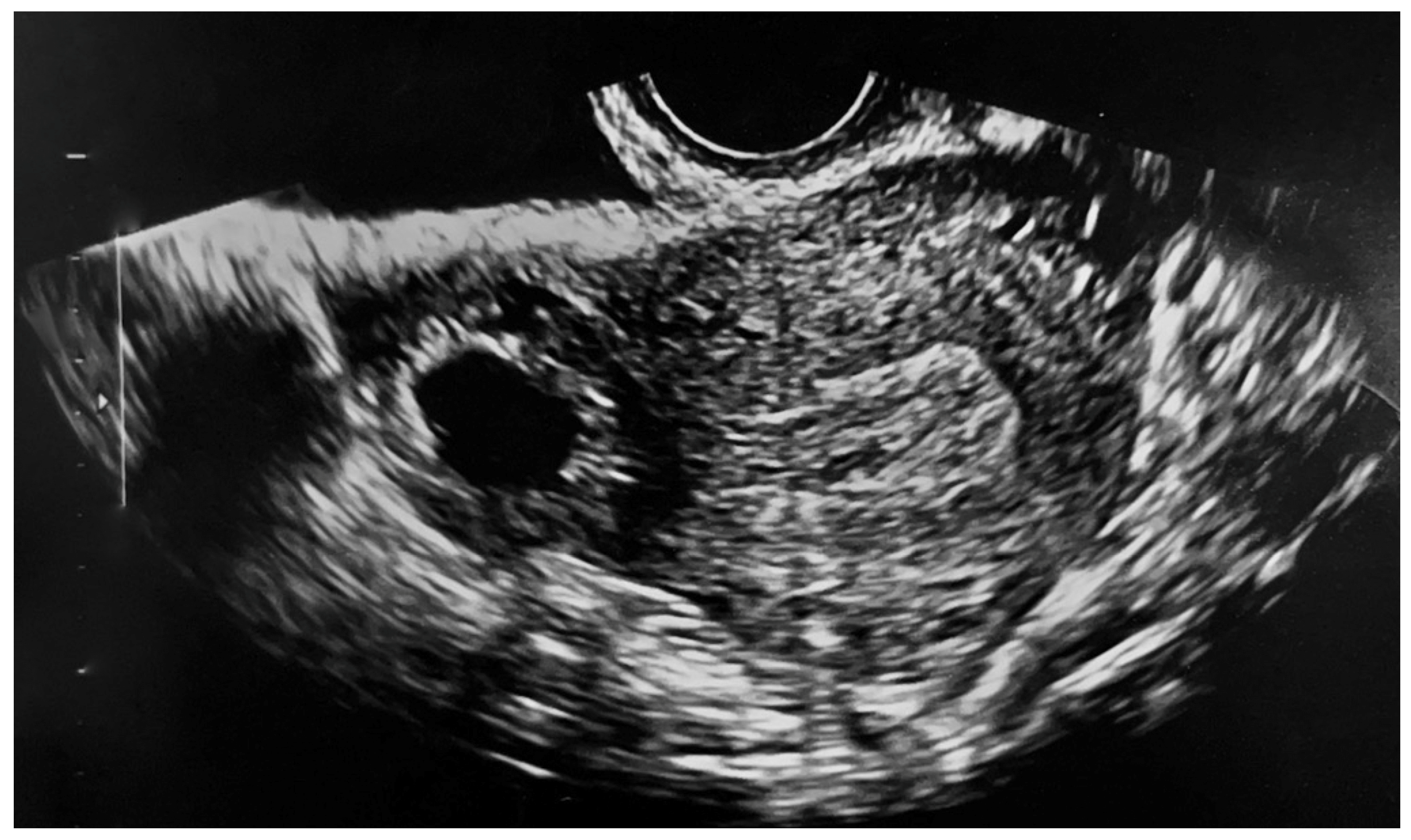 Medicina 58 00937 g001 550