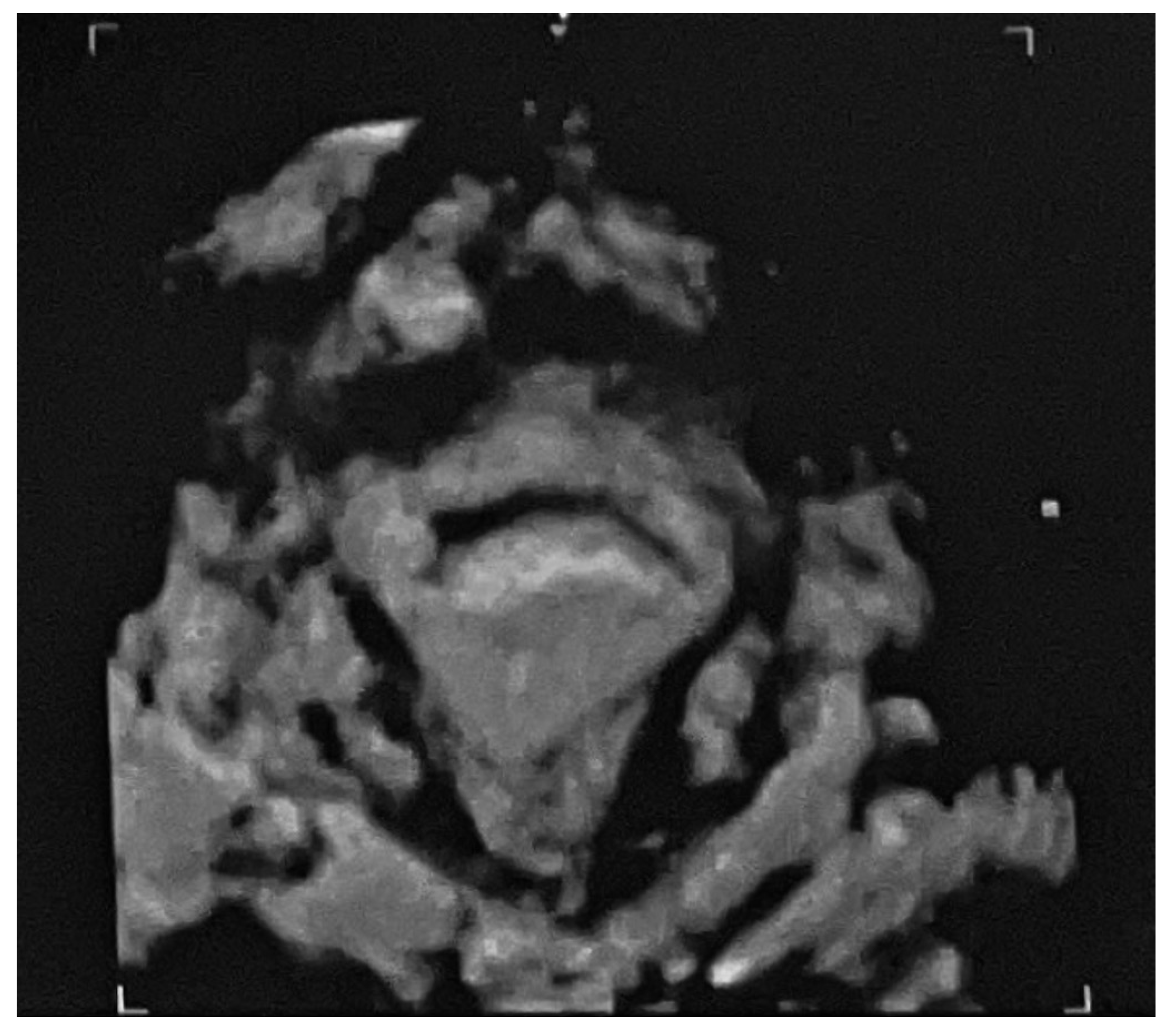 Medicina 58 00937 g002 550