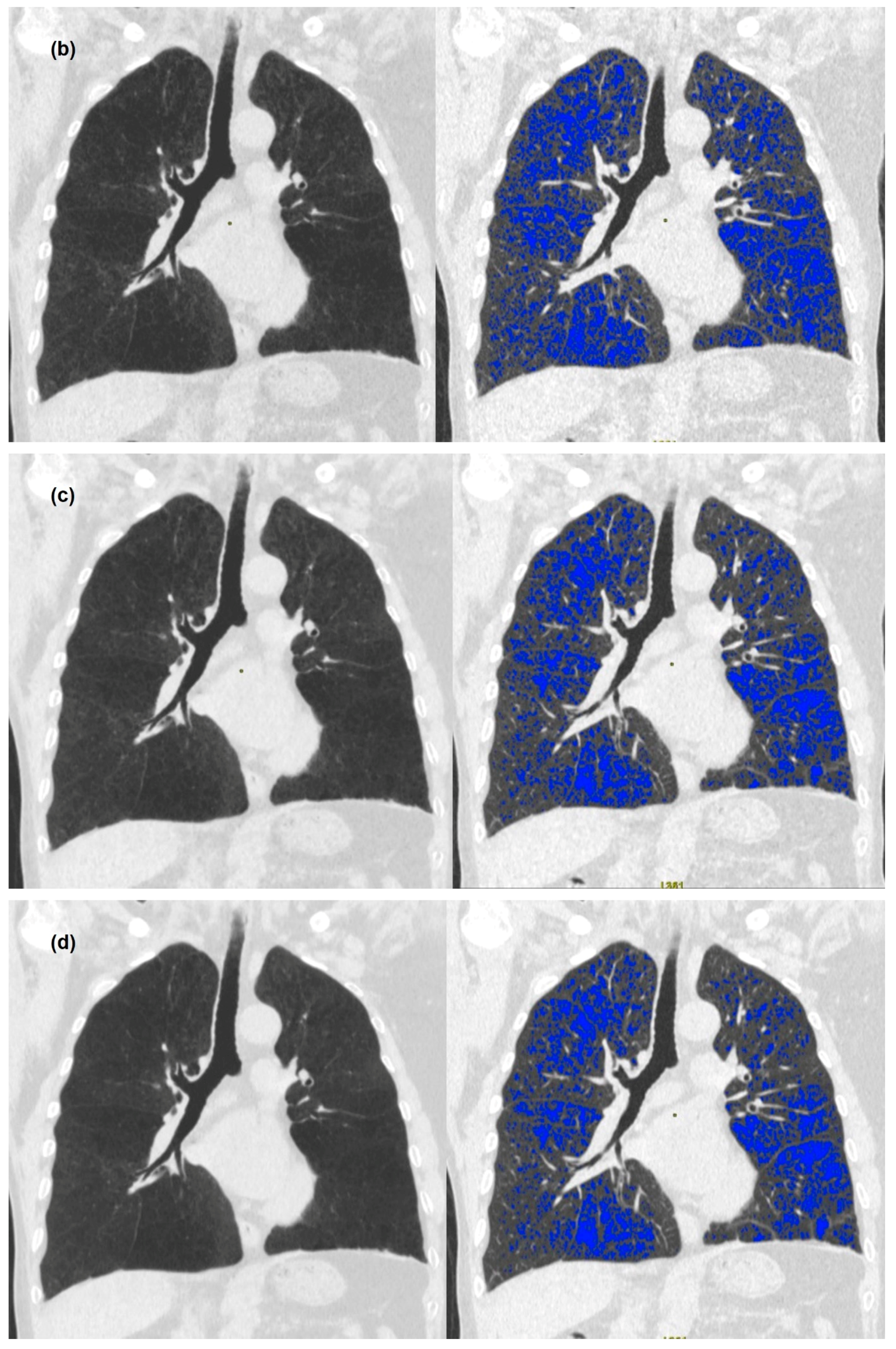 Medicina 58 00939 g001b Medicina 58 00939 g001b
