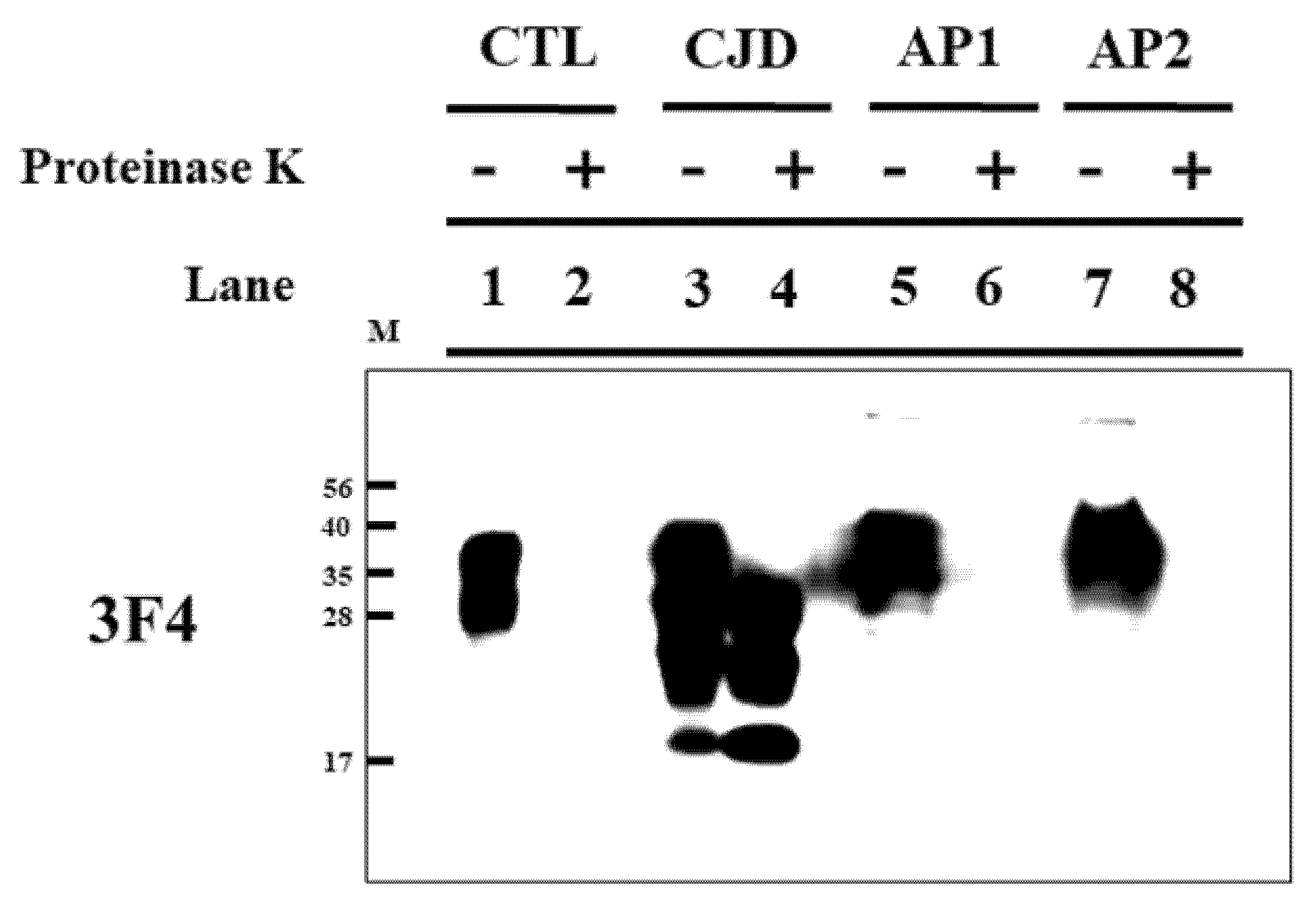 Medicina 58 00947 g001 550