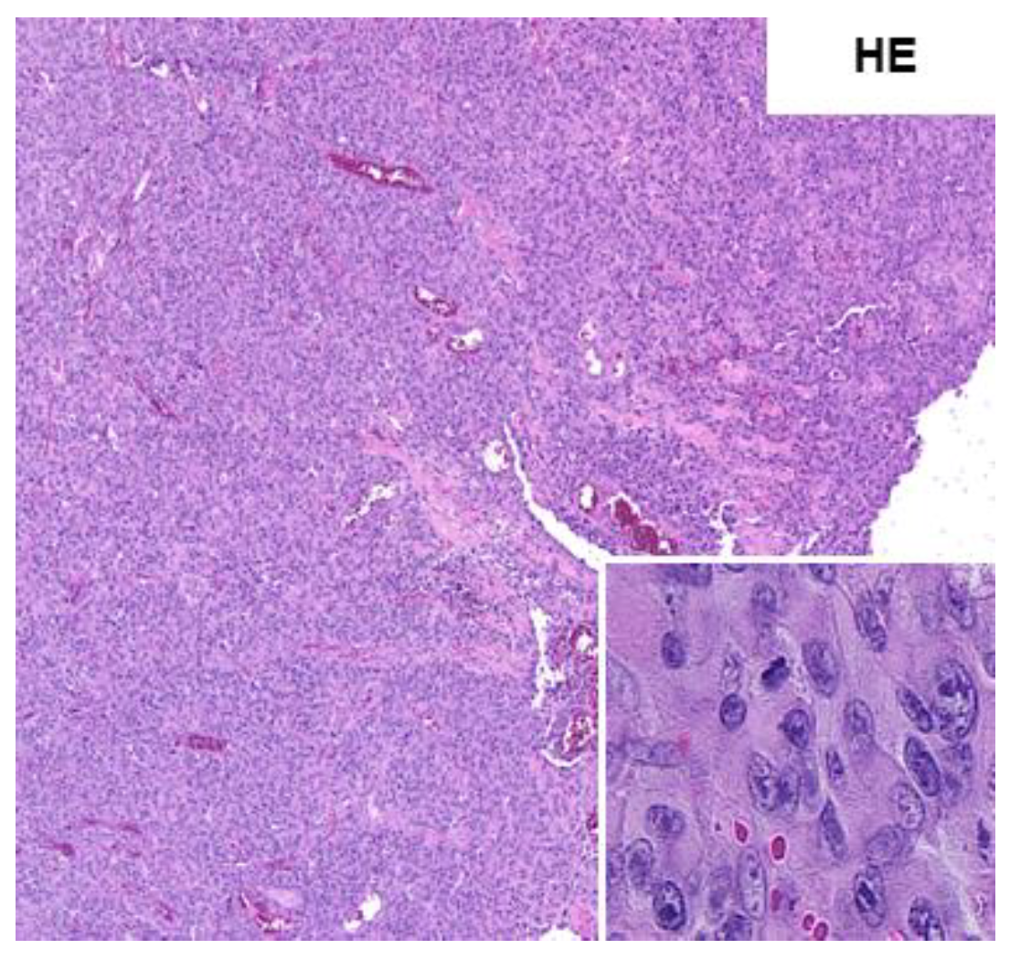 Medicina 58 00951 g001 550