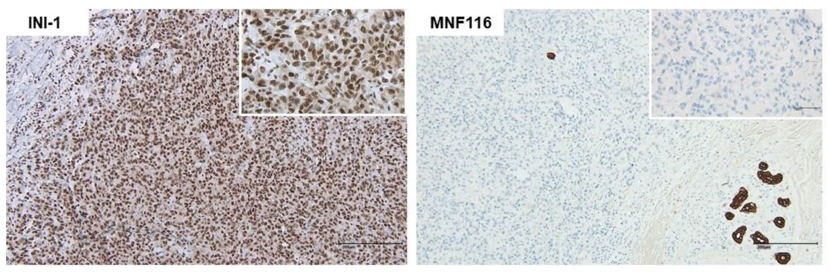 Medicina 58 00951 g002 550