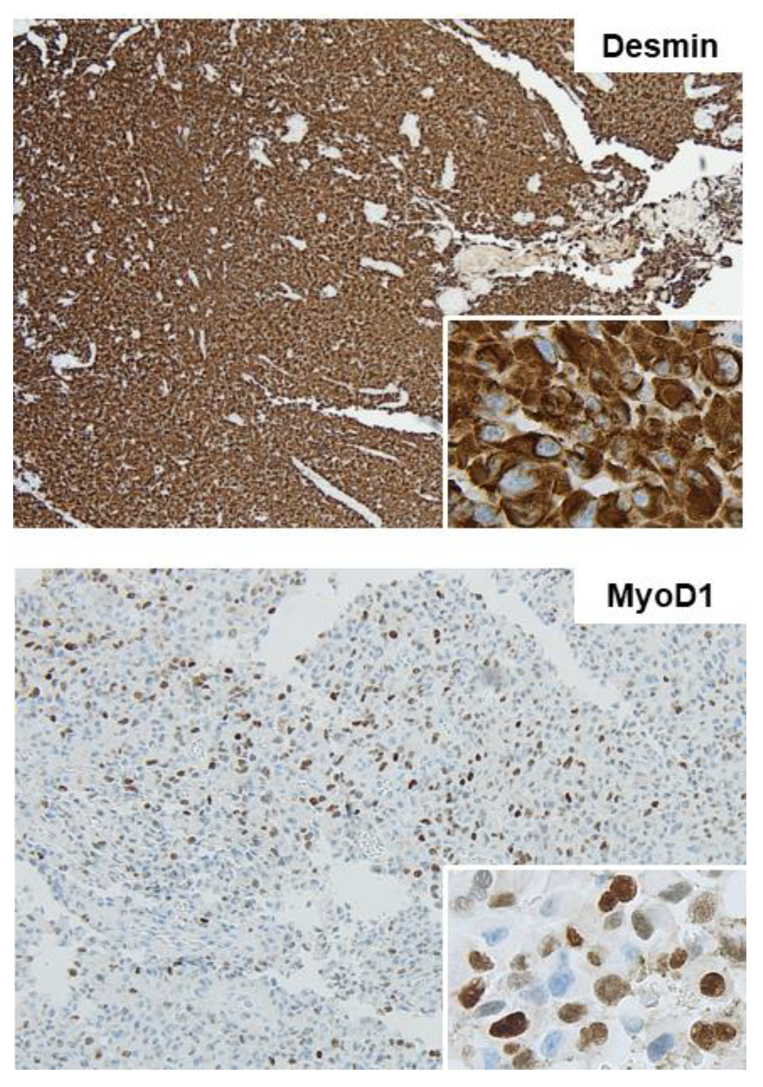 Medicina 58 00951 g003 550