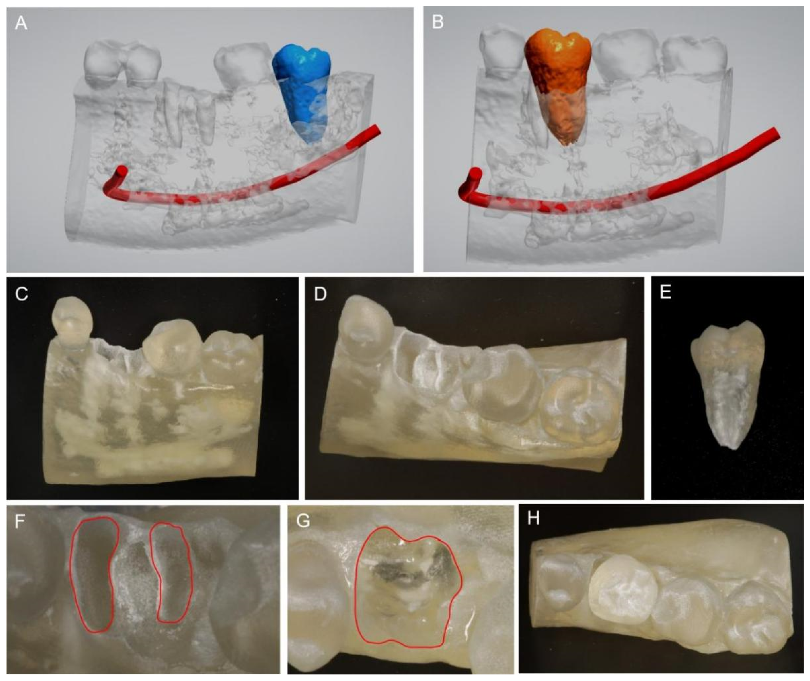 Medicina 58 00953 g002 550