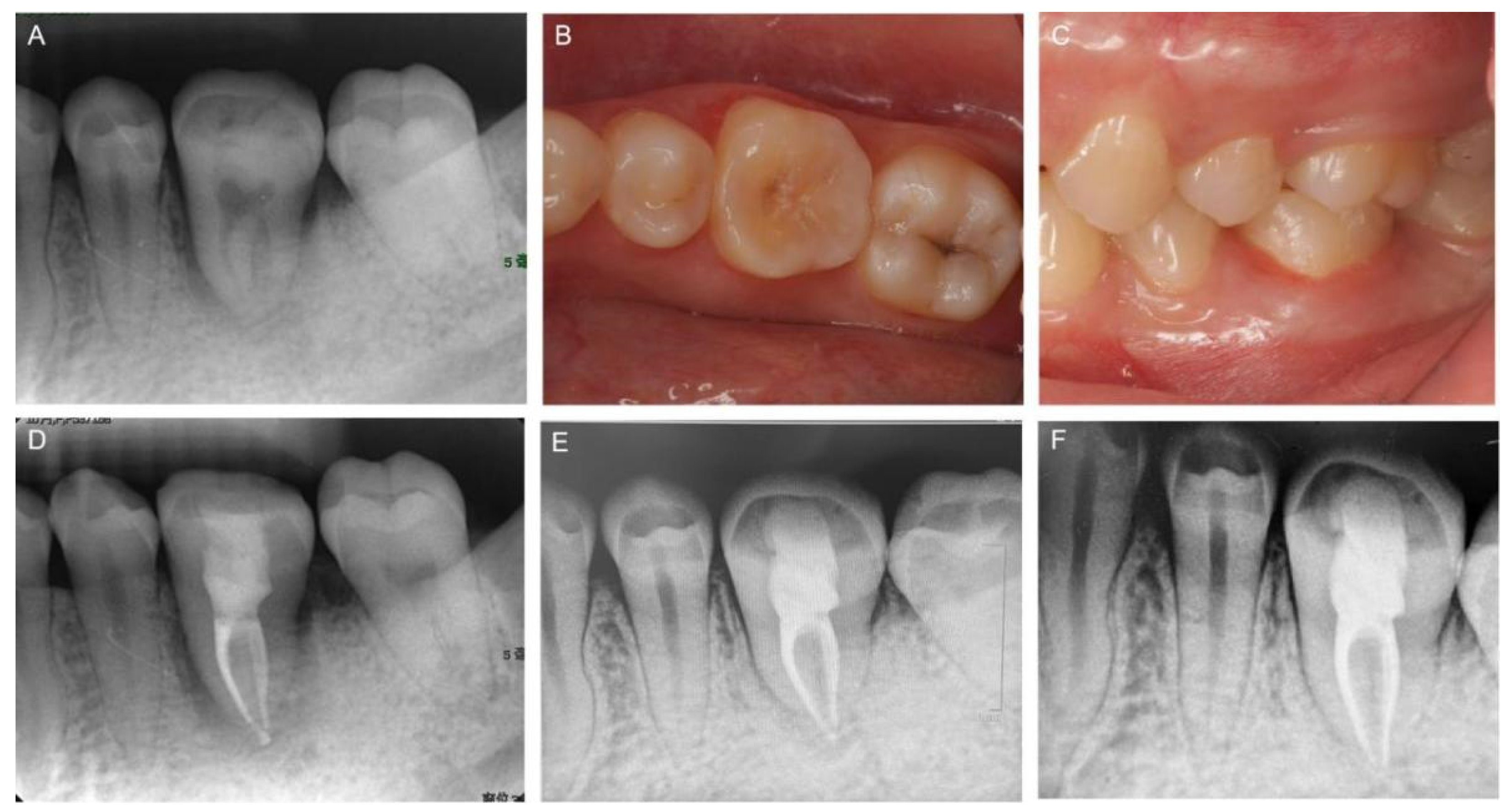 Medicina 58 00953 g004 550