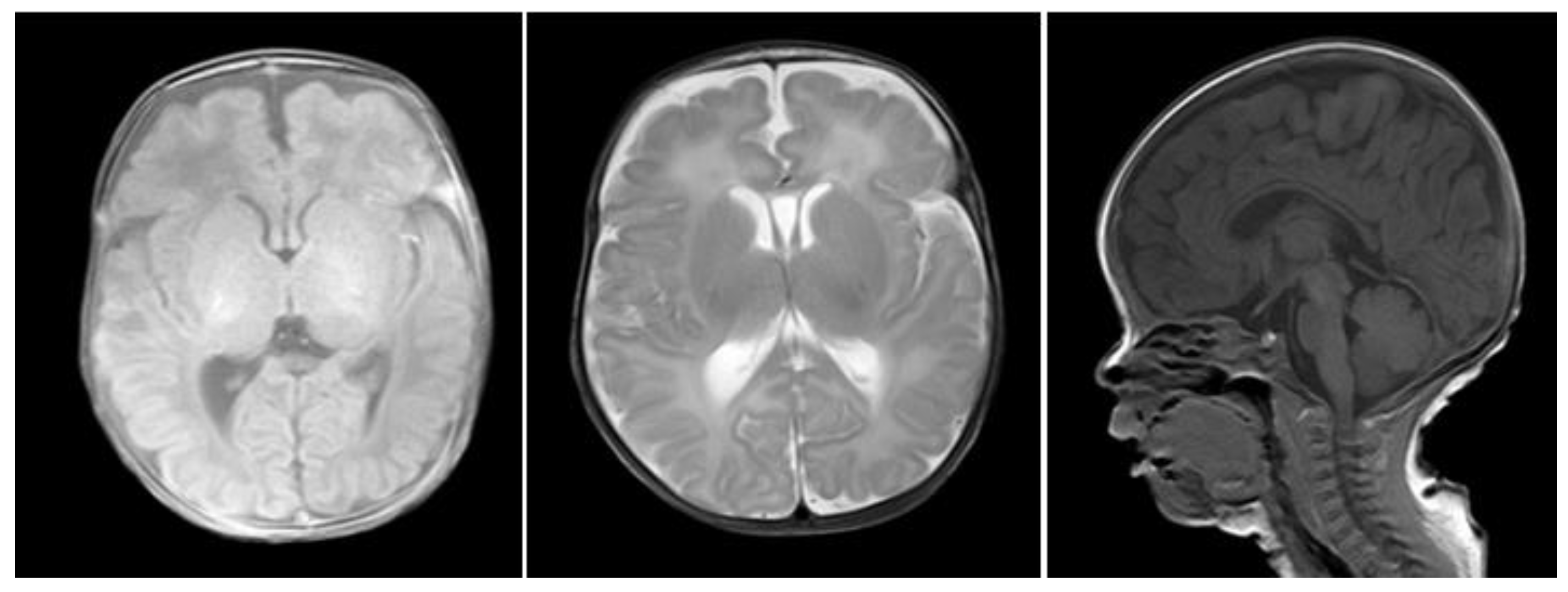 Medicina 58 00958 g003