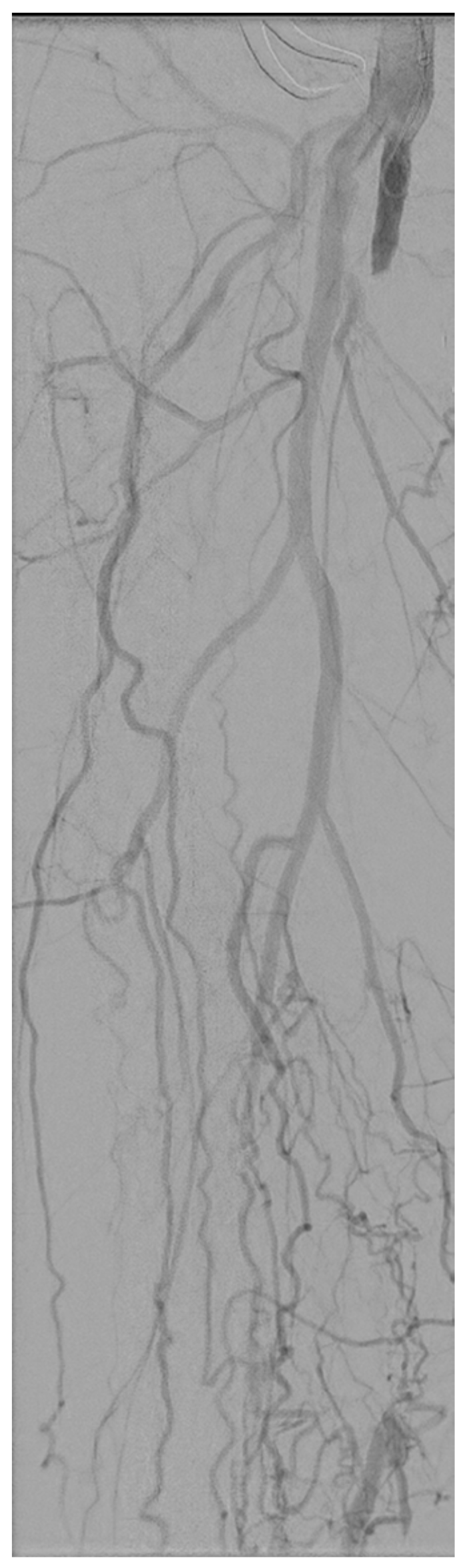 Medicina 58 00961 g001