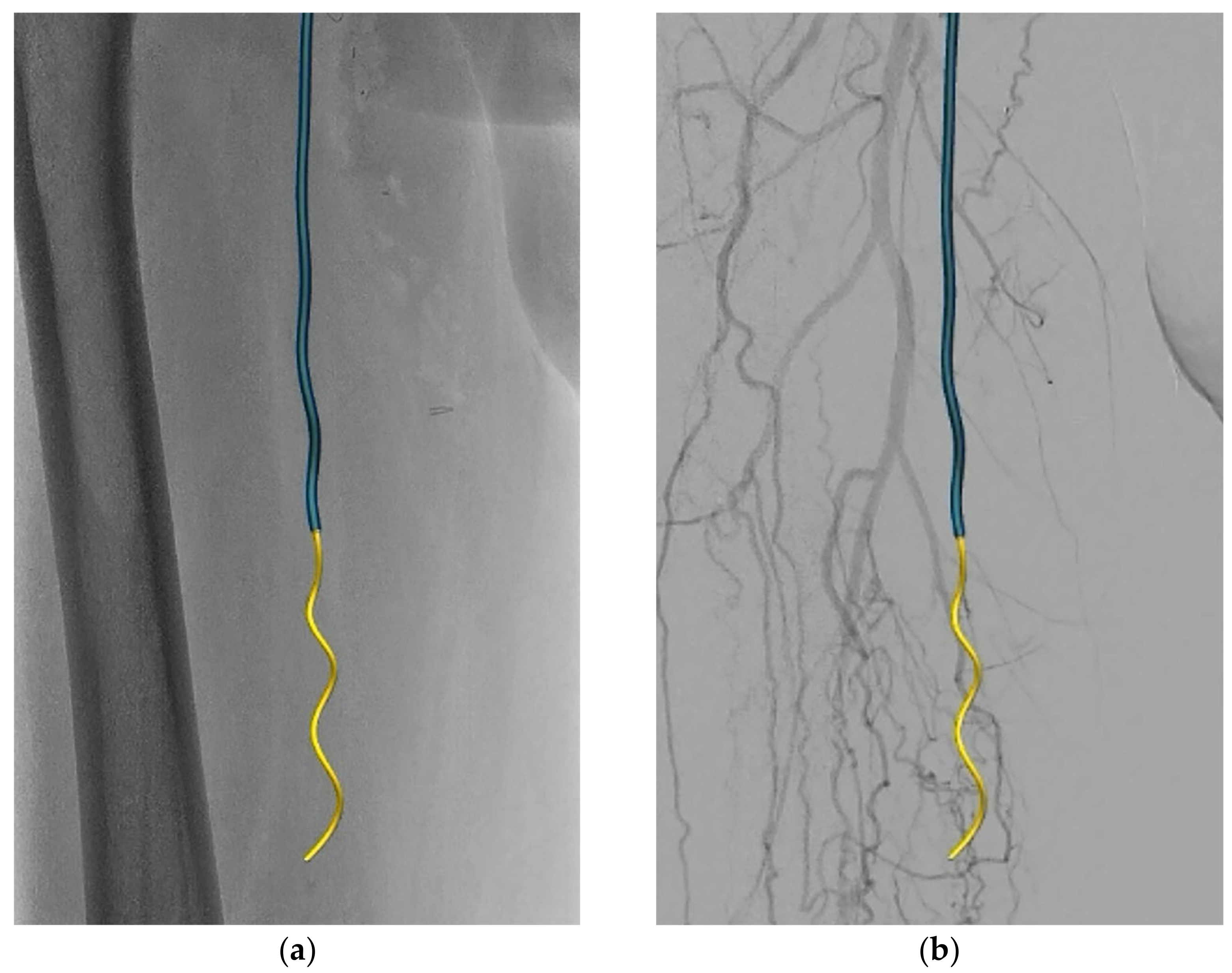 Medicina 58 00961 g002