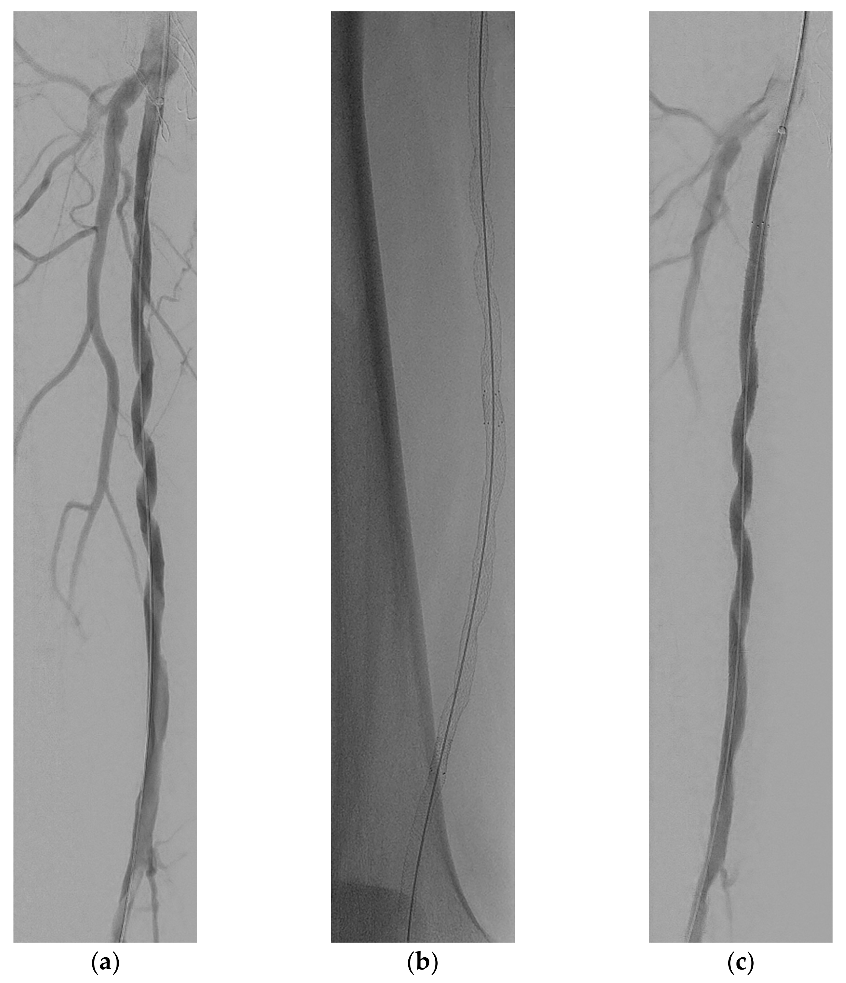 Medicina 58 00961 g003