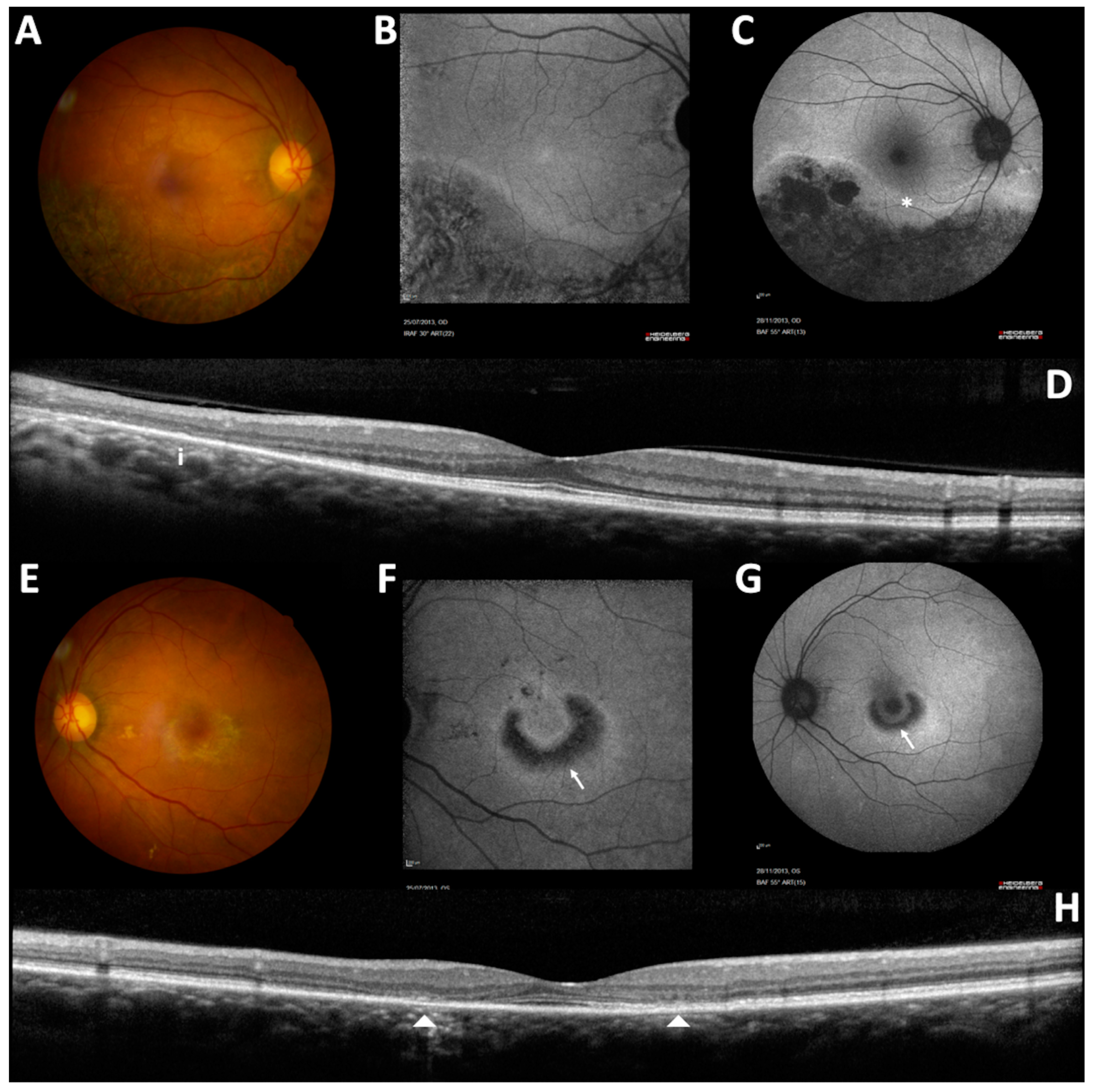 Medicina 58 00967 g003 550