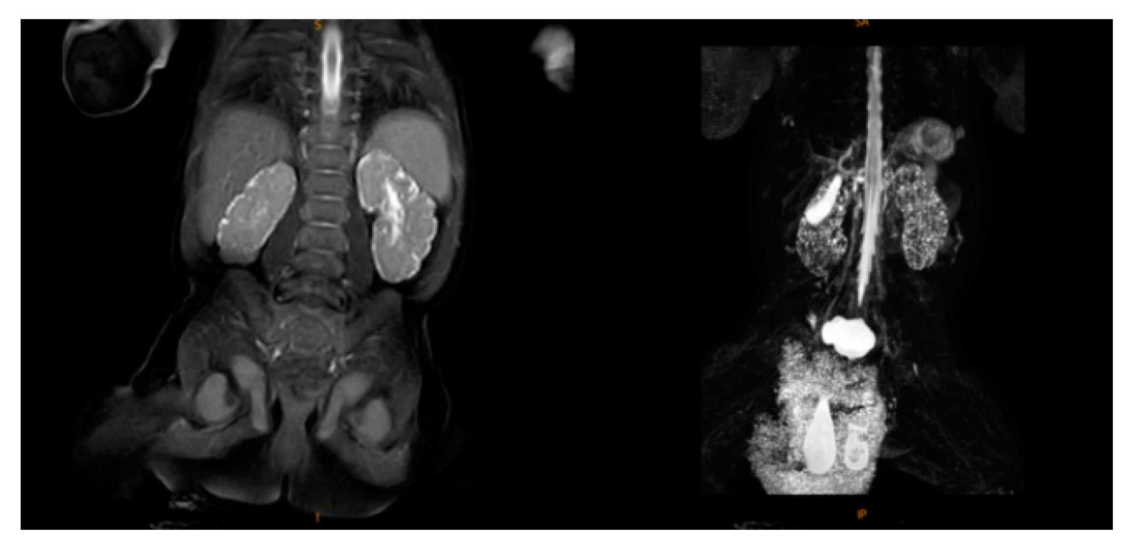 Medicina 58 00968 g001 550