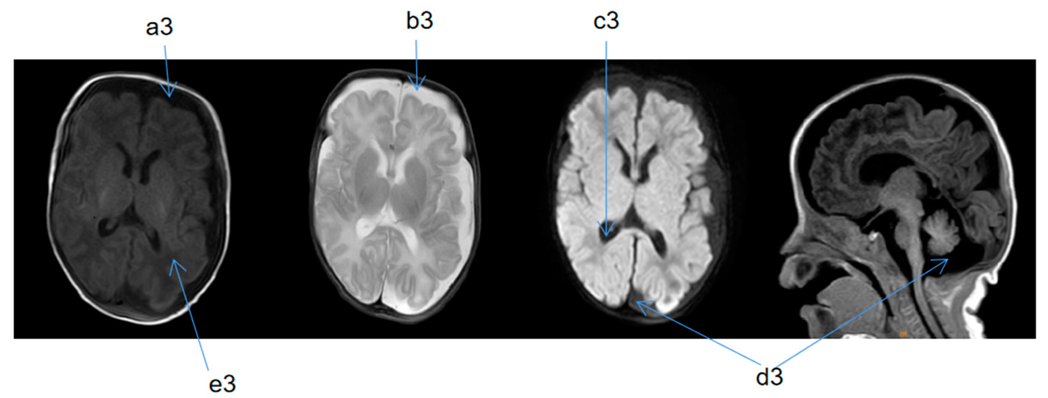 Medicina 58 00968 g003 550