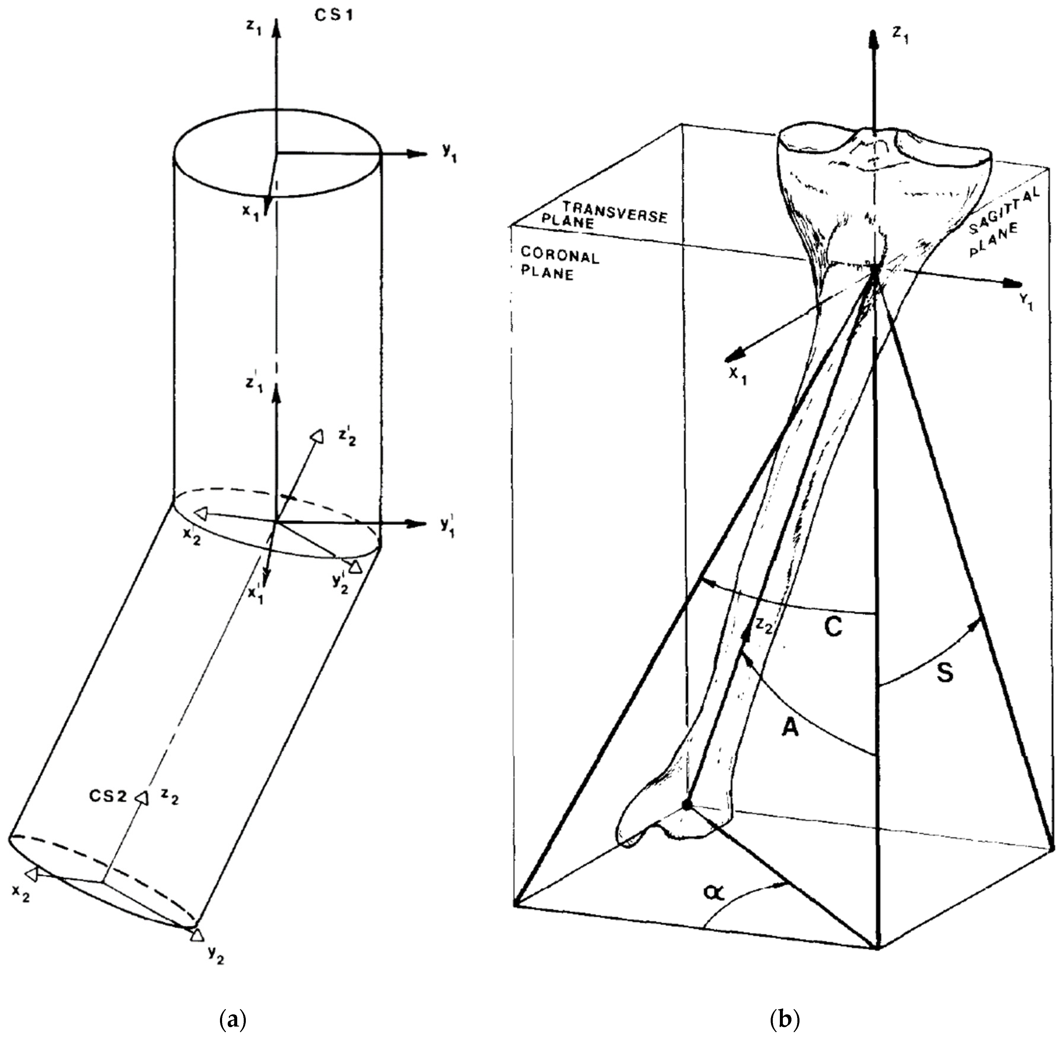 Medicina 58 00971 g001