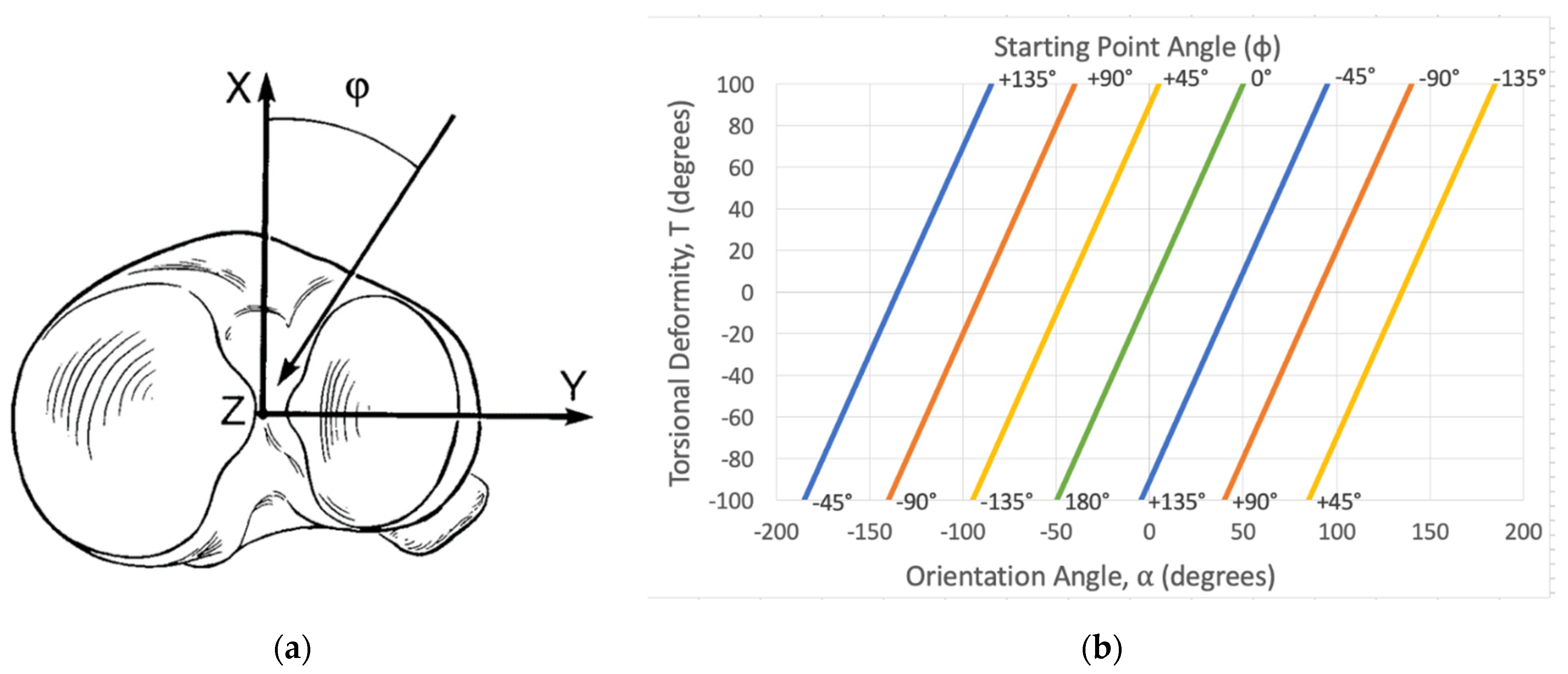 Medicina 58 00971 g003