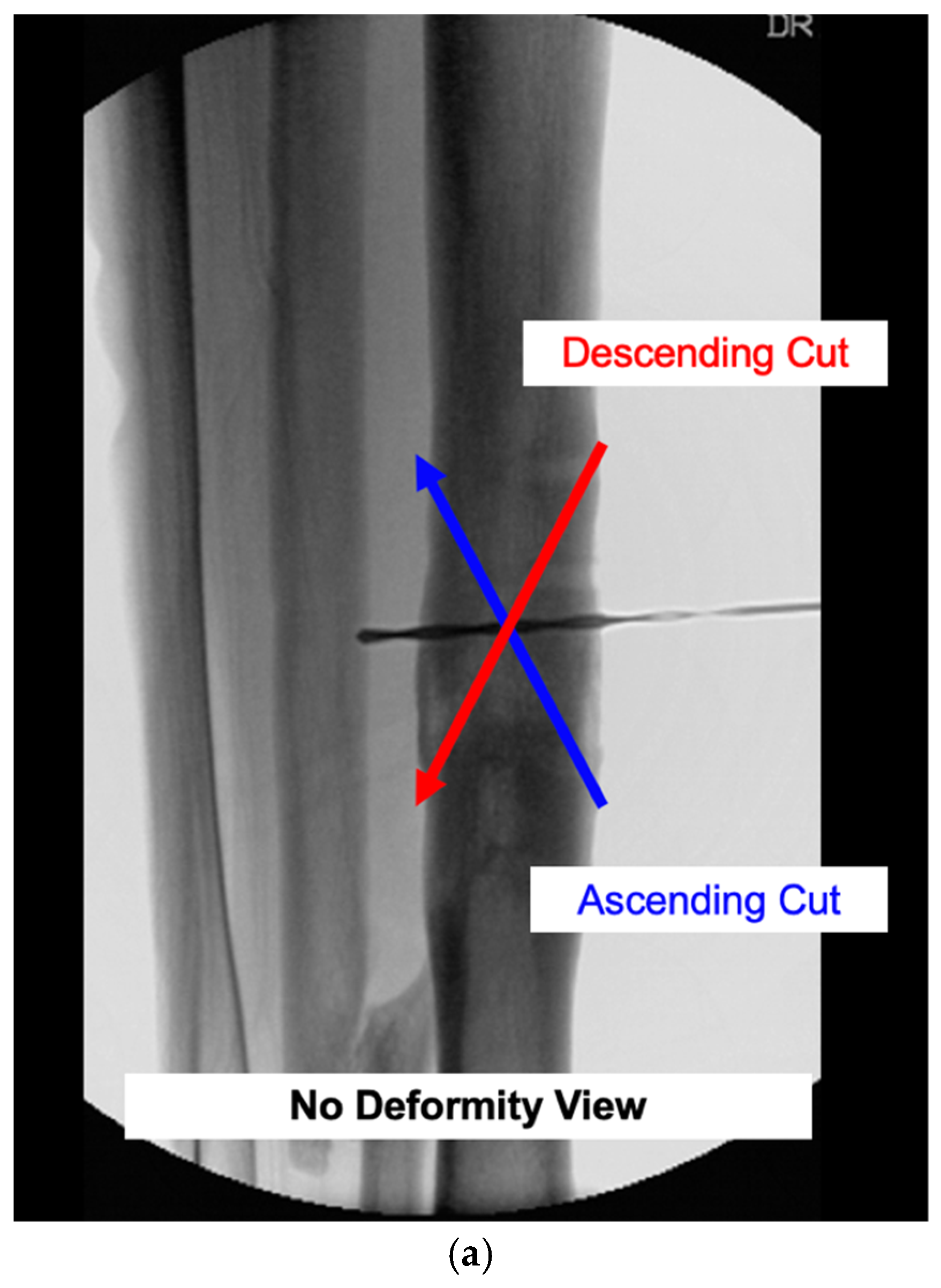 Medicina 58 00971 g006a