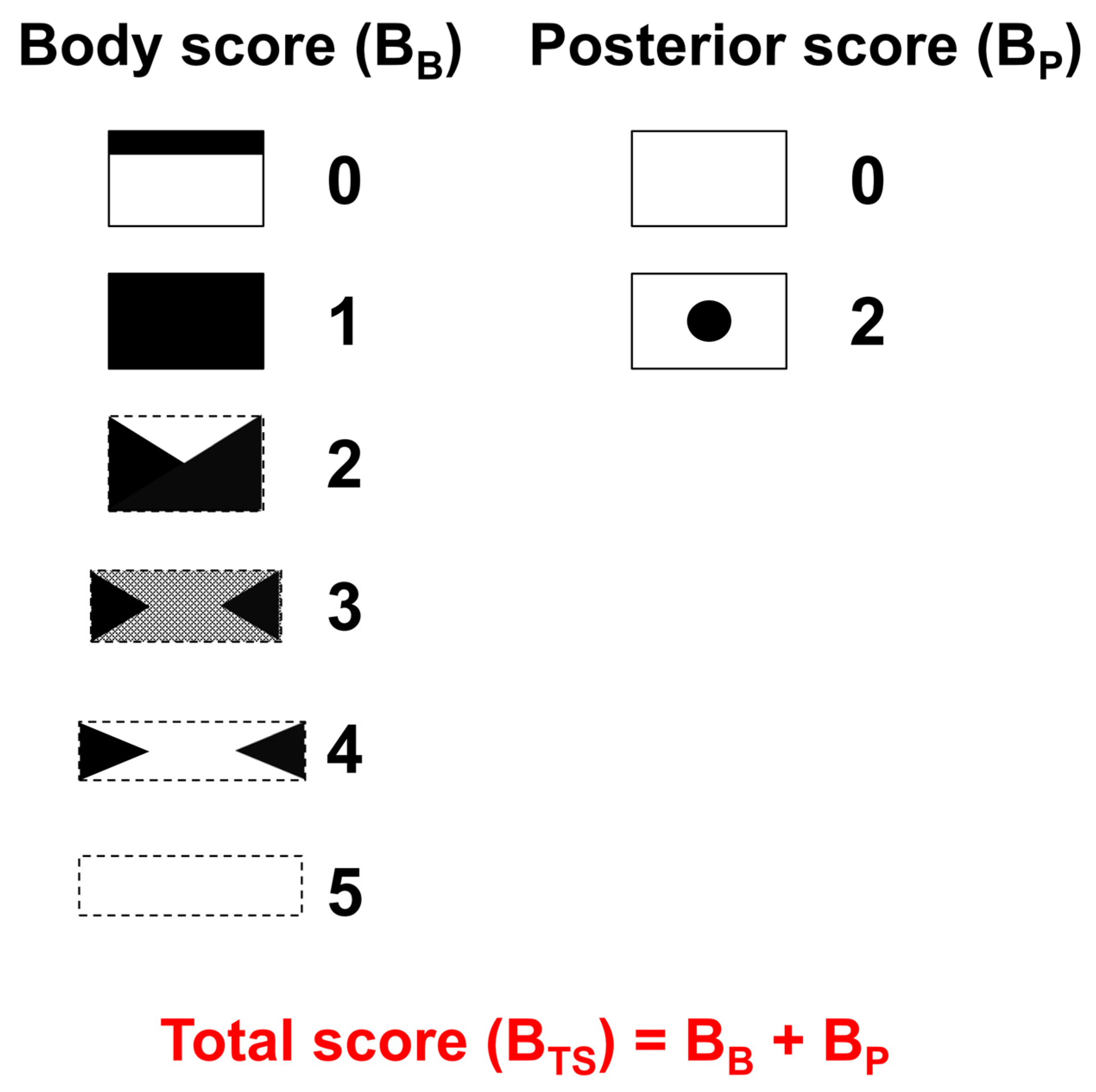 Medicina 58 00979 g001 550