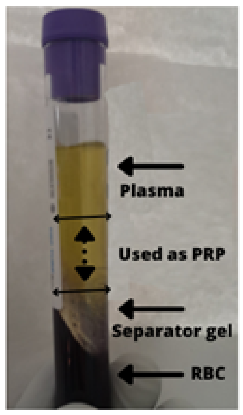 Medicina 58 00988 g001 550