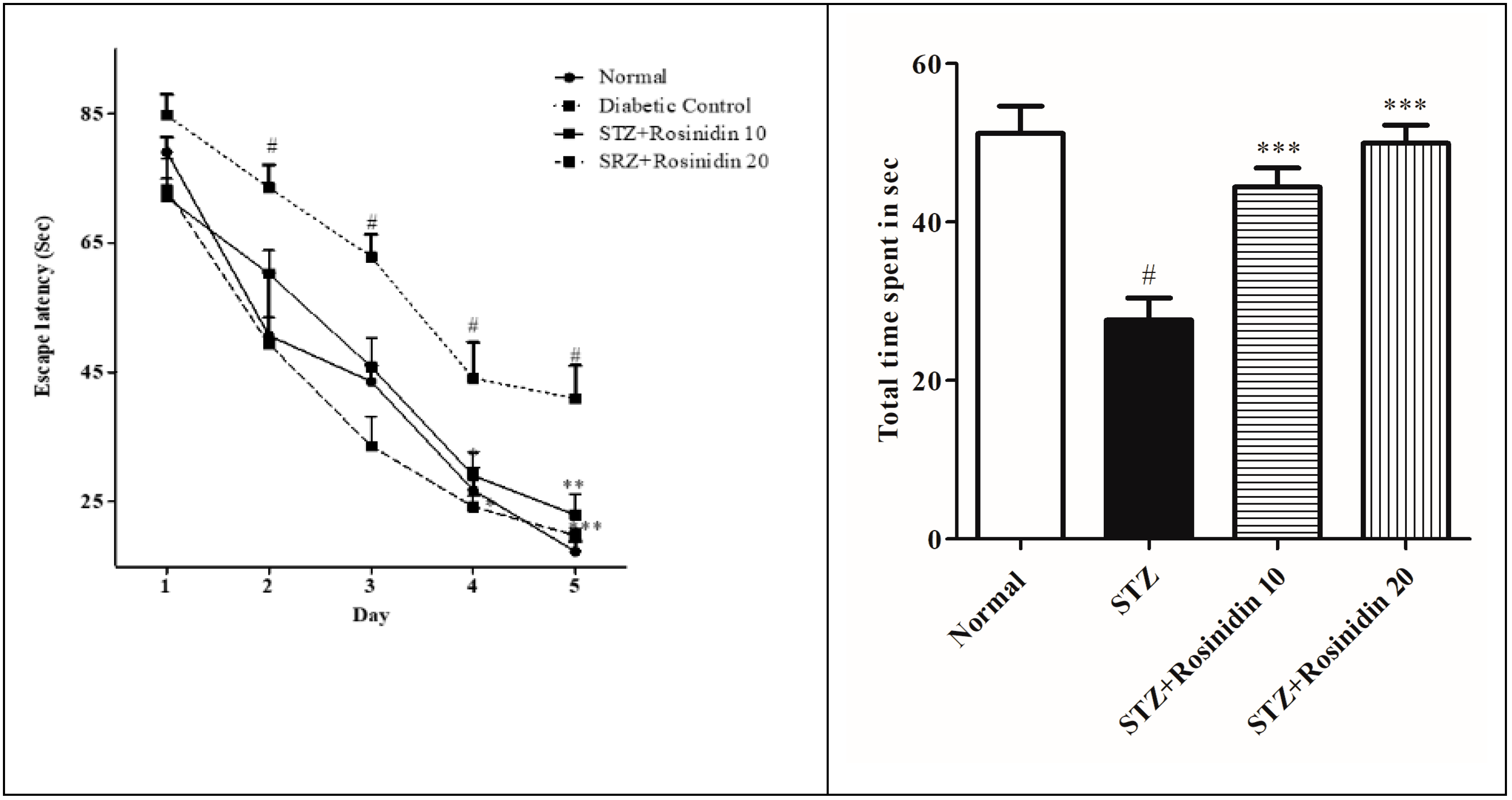 Medicina 58 00993 g003