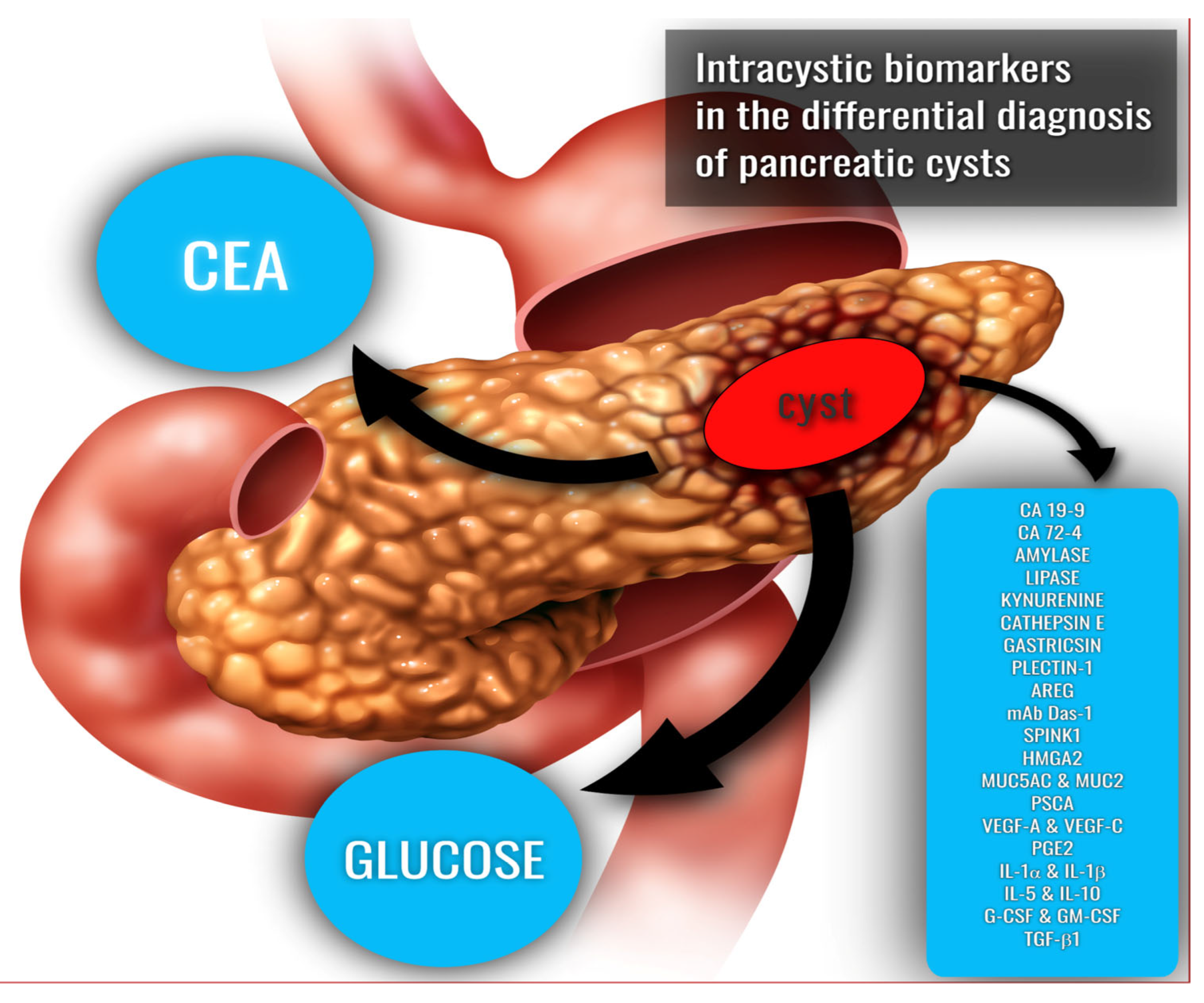 Medicina 58 00994 g003 Medicina 58 00994 g003
