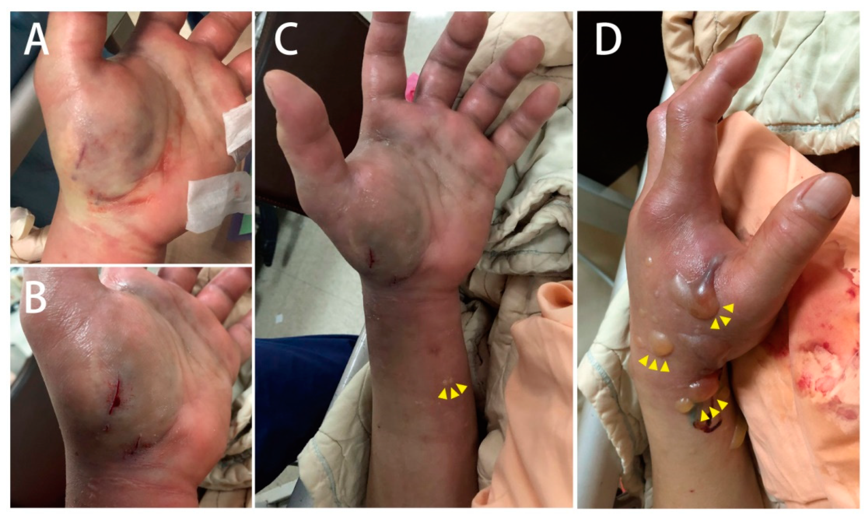 Medicina 58 00996 g001