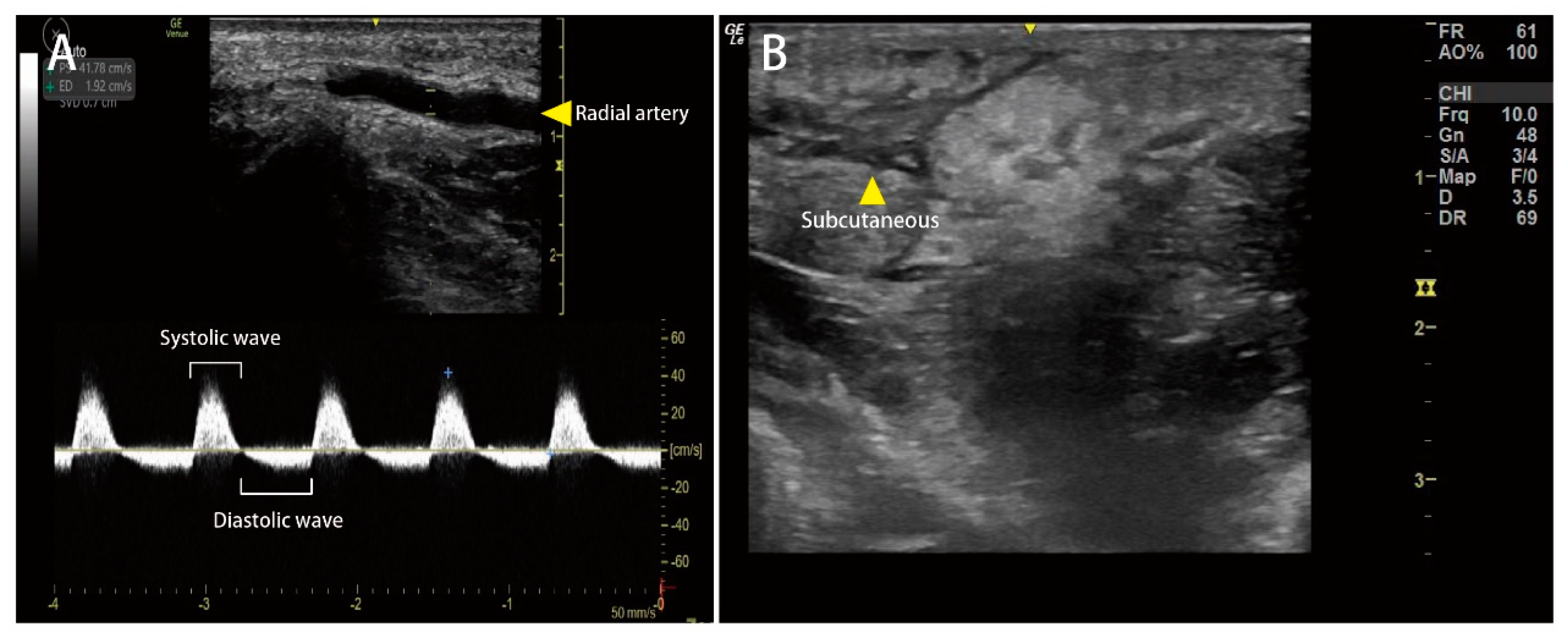 Medicina 58 00996 g002