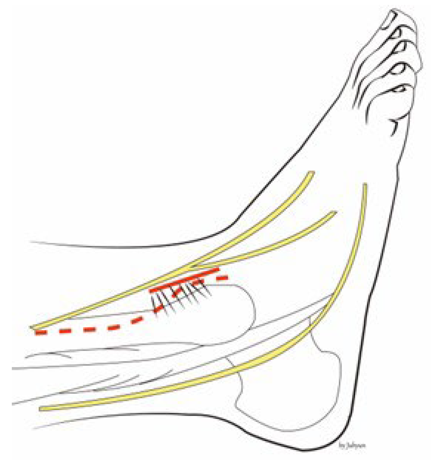 Medicina 58 01005 g001 550