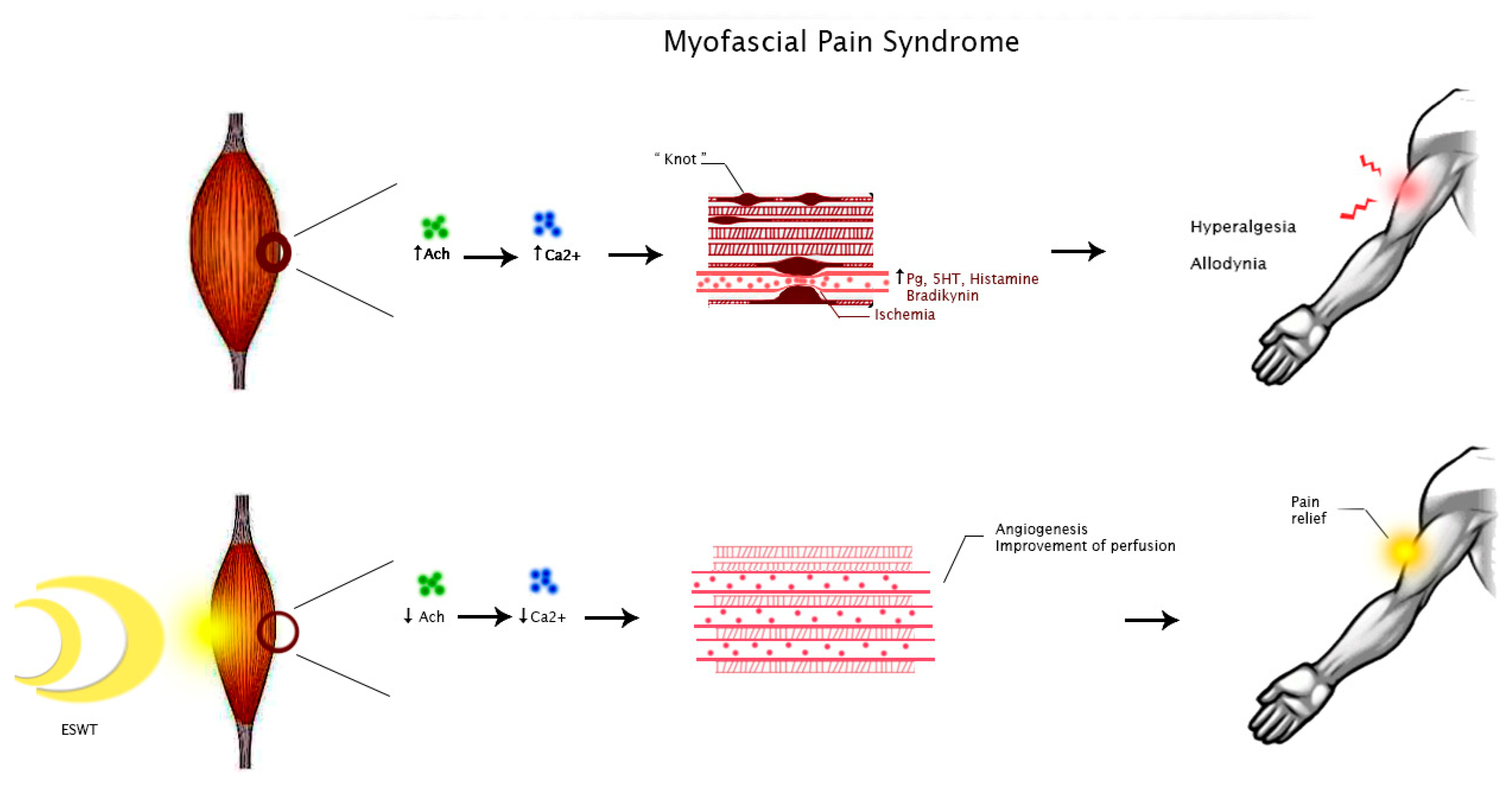 Medicina 58 01014 g002 550