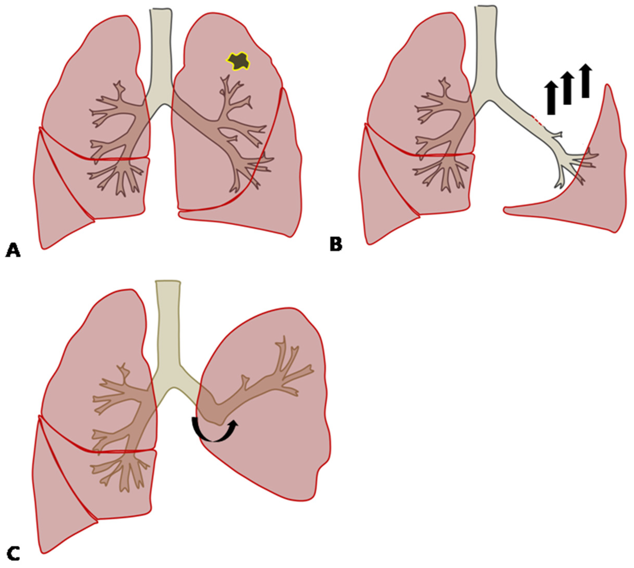 Medicina 58 01021 g002 550