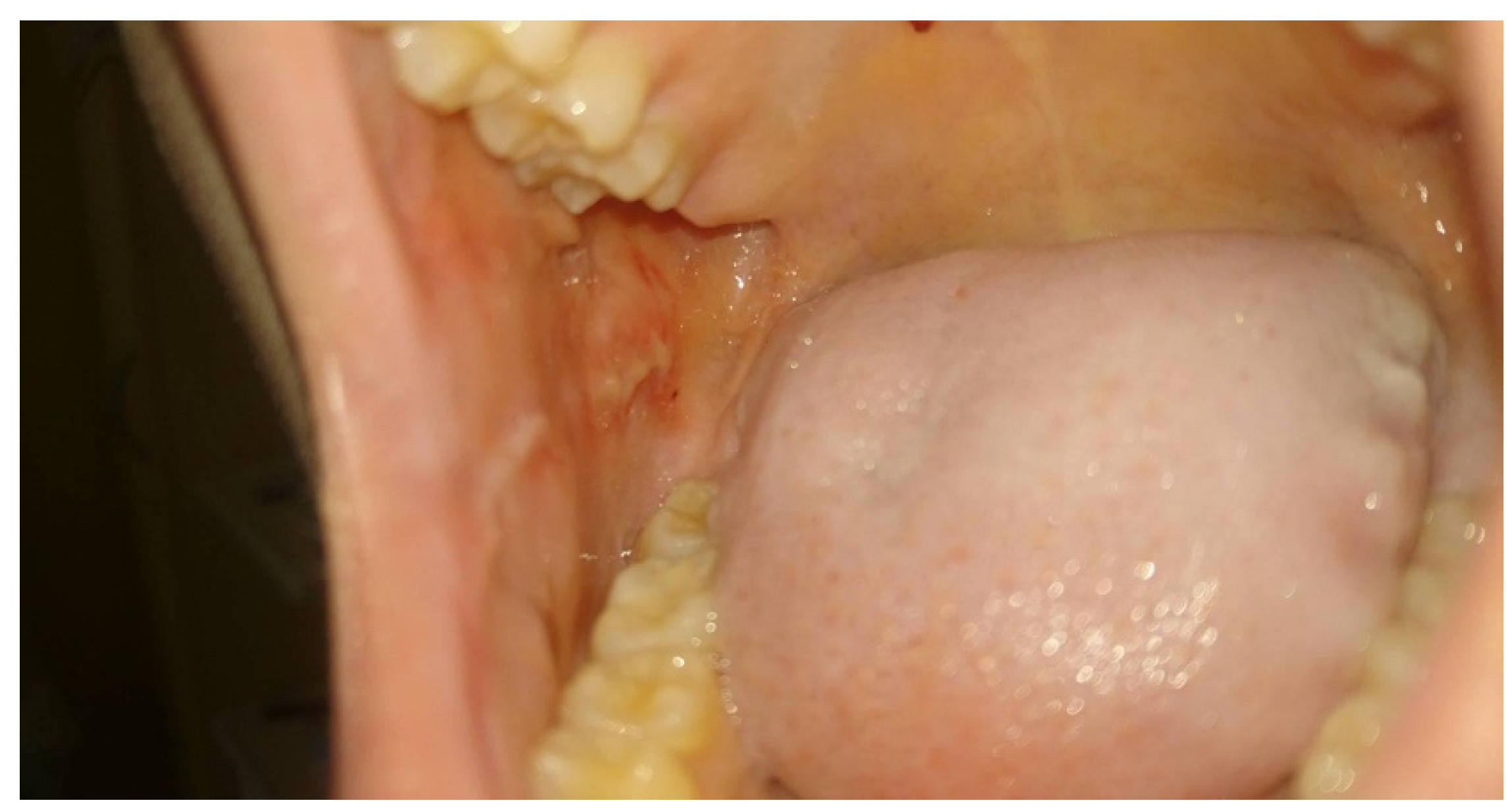 Medicina 58 01023 g002 550