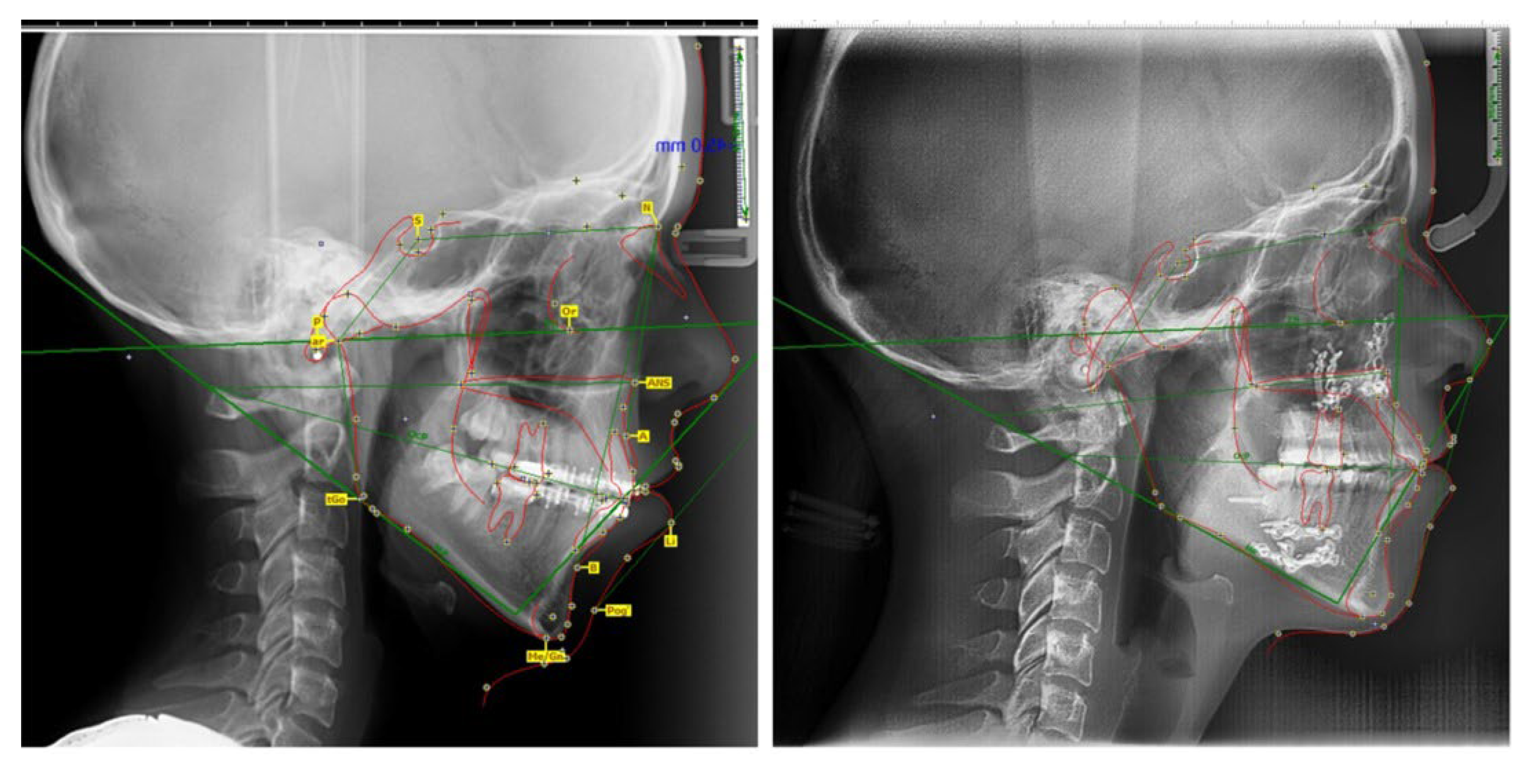Medicina 58 01043 g005 550