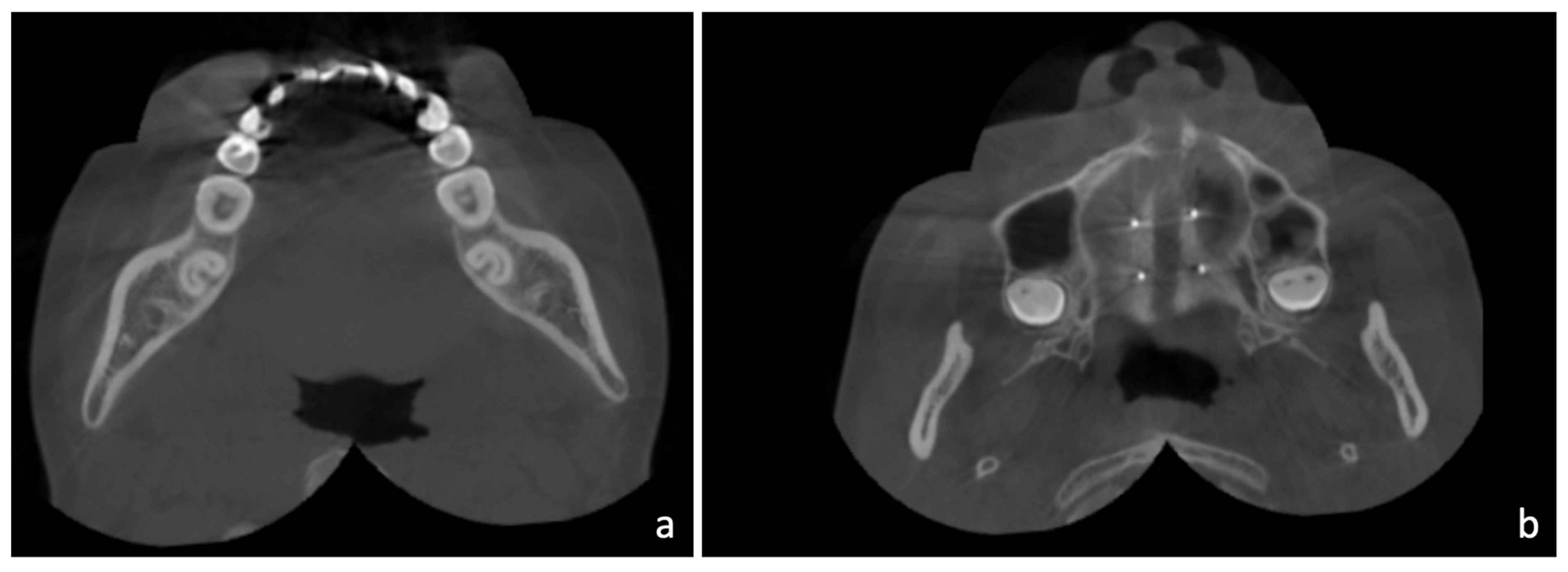 Medicina 58 01052 g002