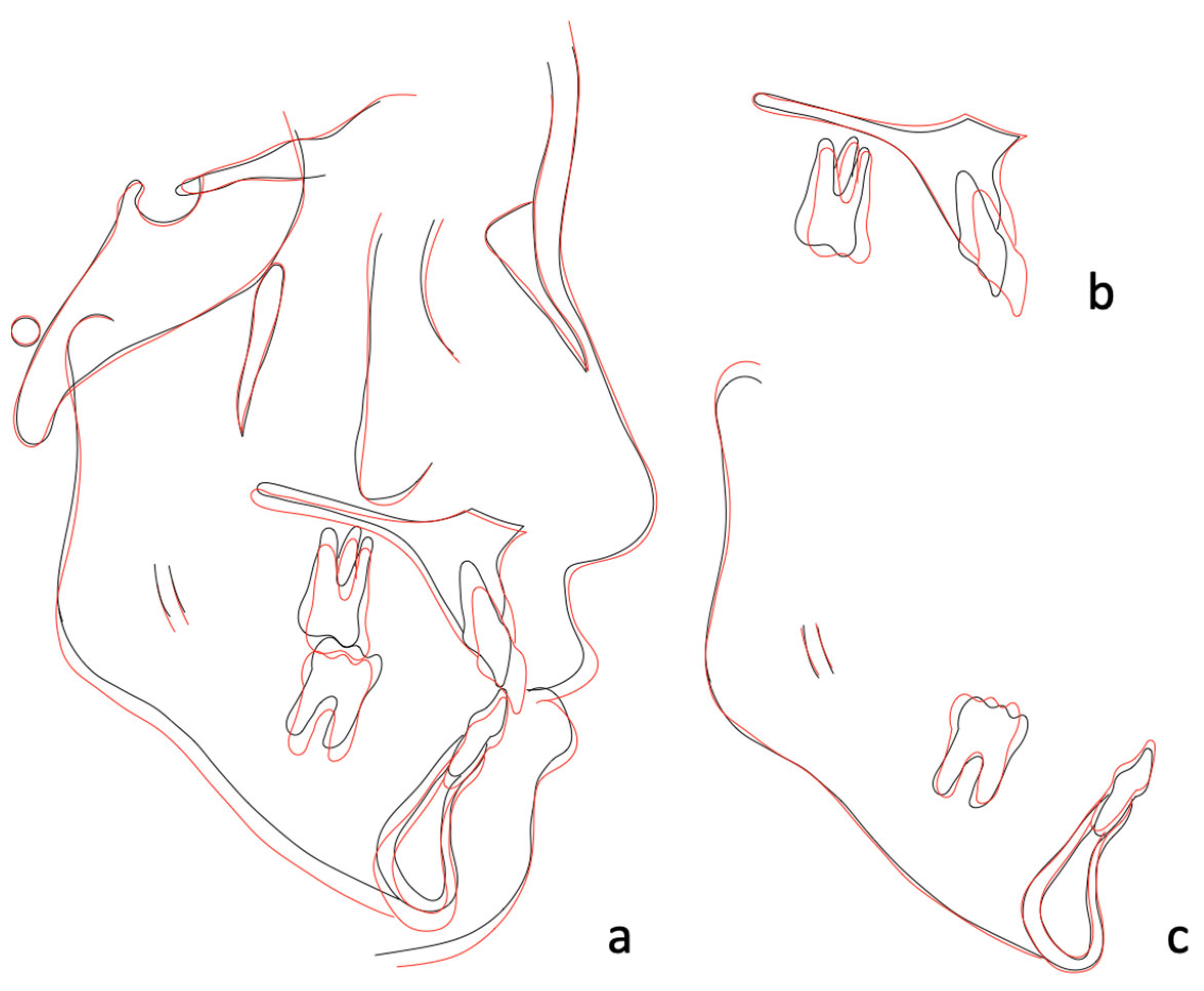 Medicina 58 01052 g007