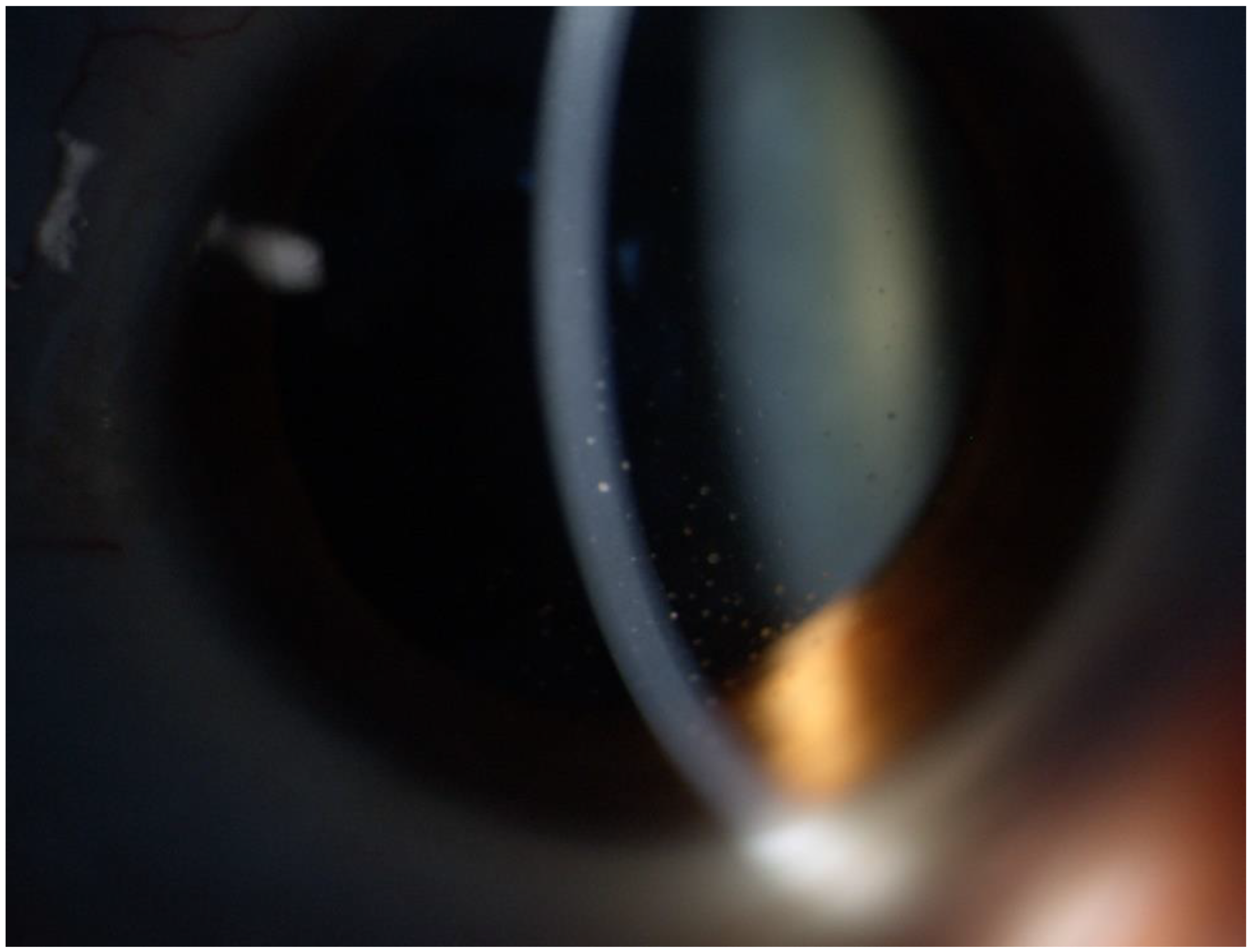 Medicina 58 01054 g001 550