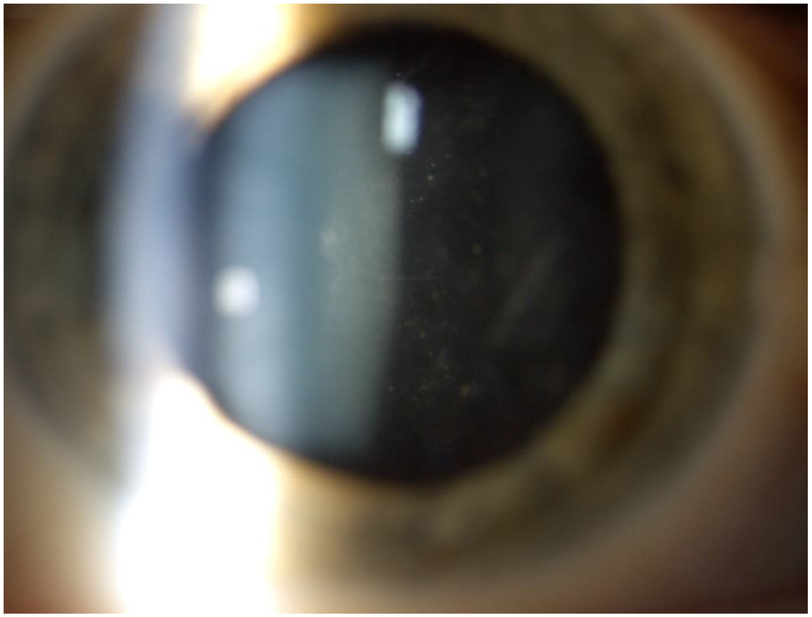 Medicina 58 01054 g002 550