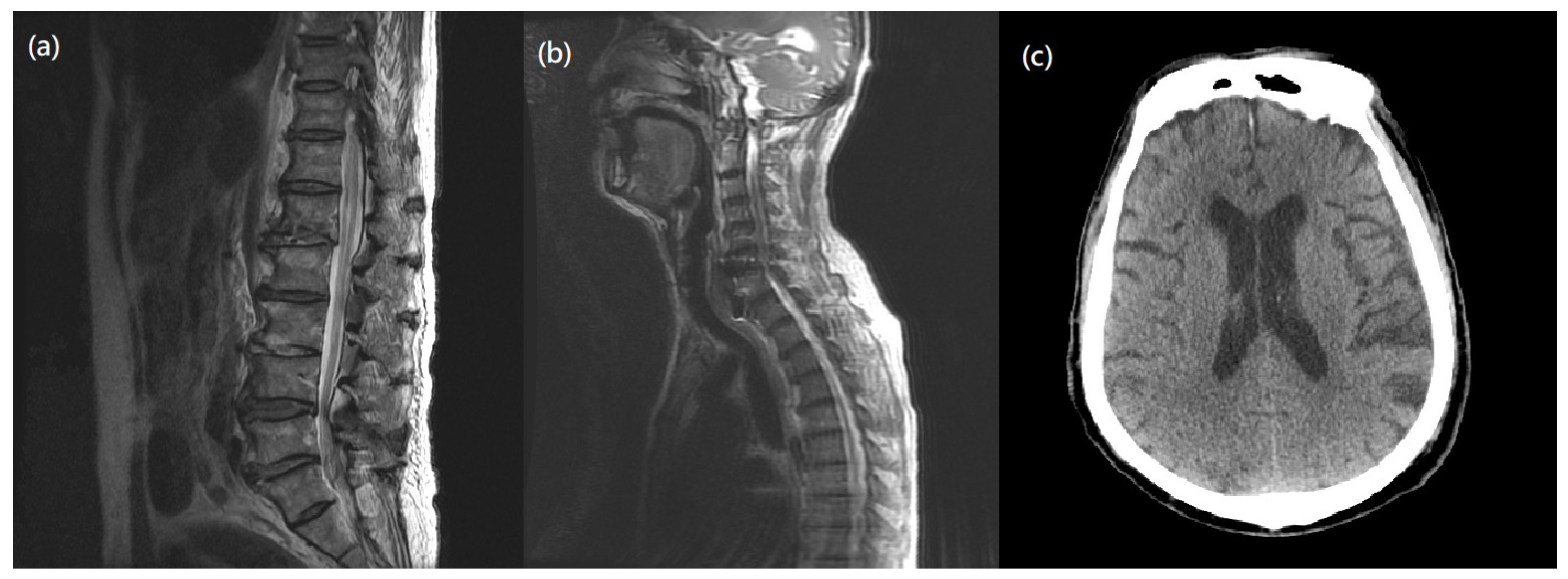 Medicina 58 01063 g003 550