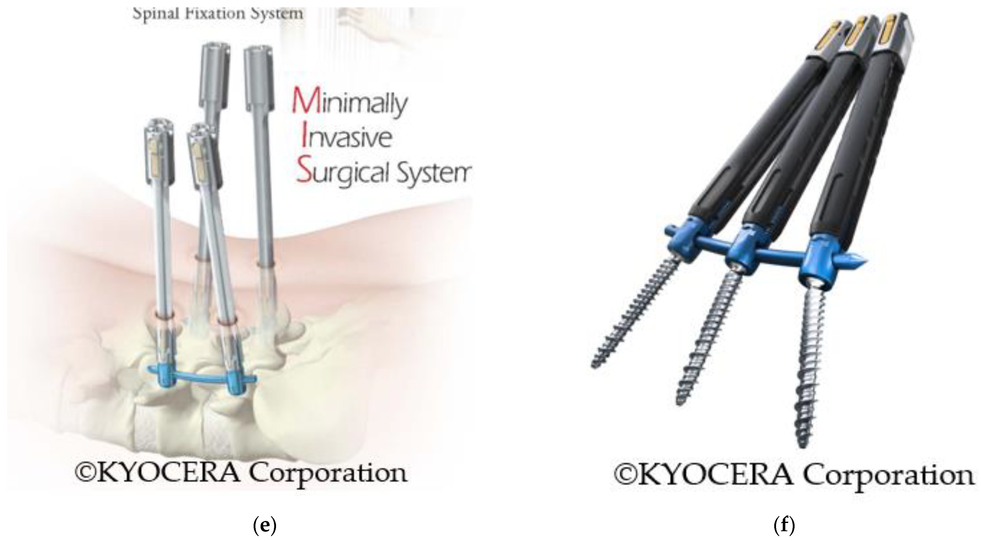 Medicina 58 01064 g003b 550